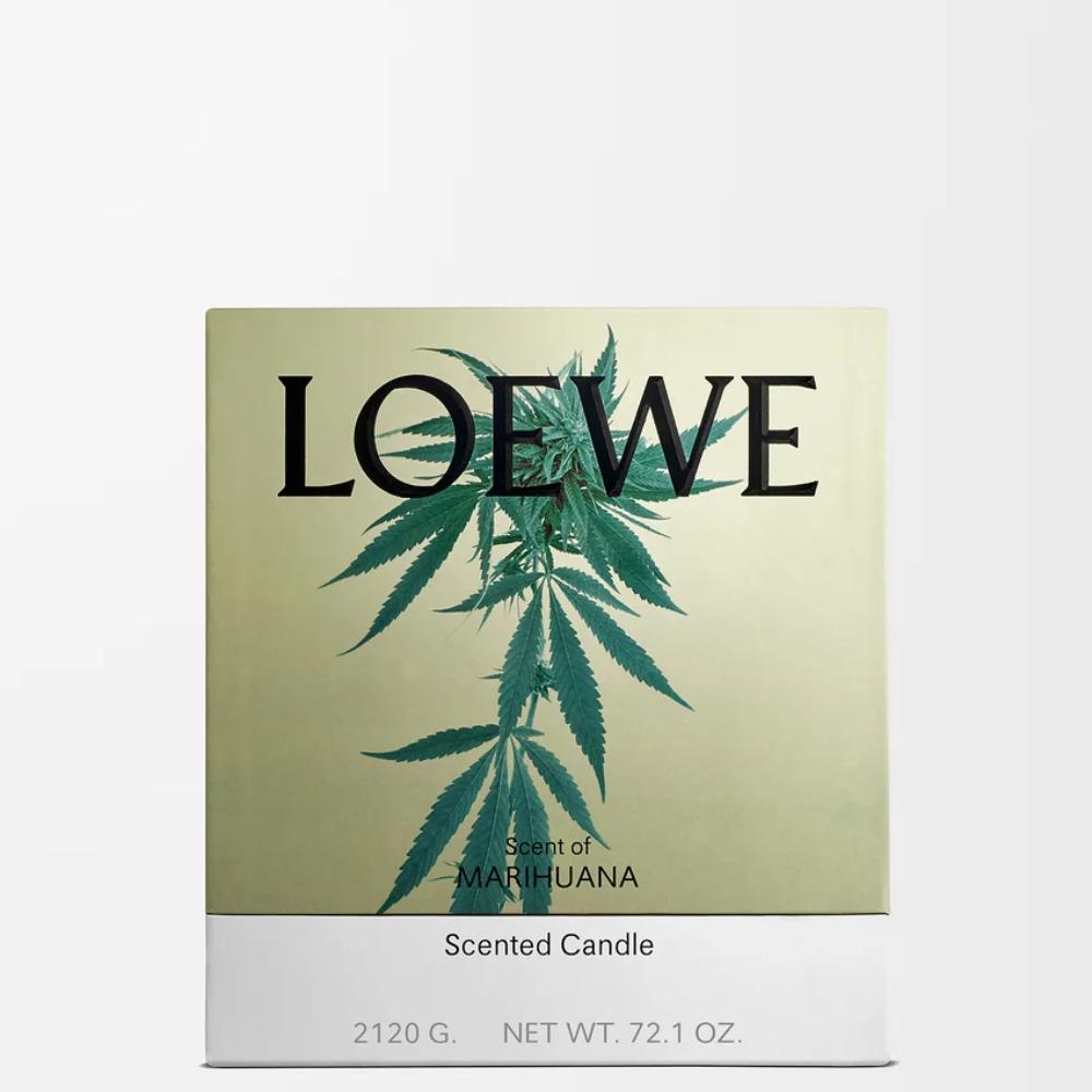 P000250X37_4110_1P-1000x1000 (1).png