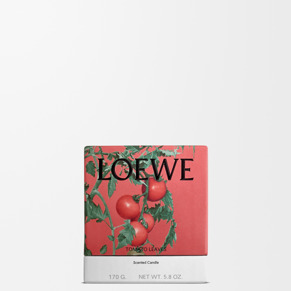 P000250X19_7100_1P-1000x1000 (1).png