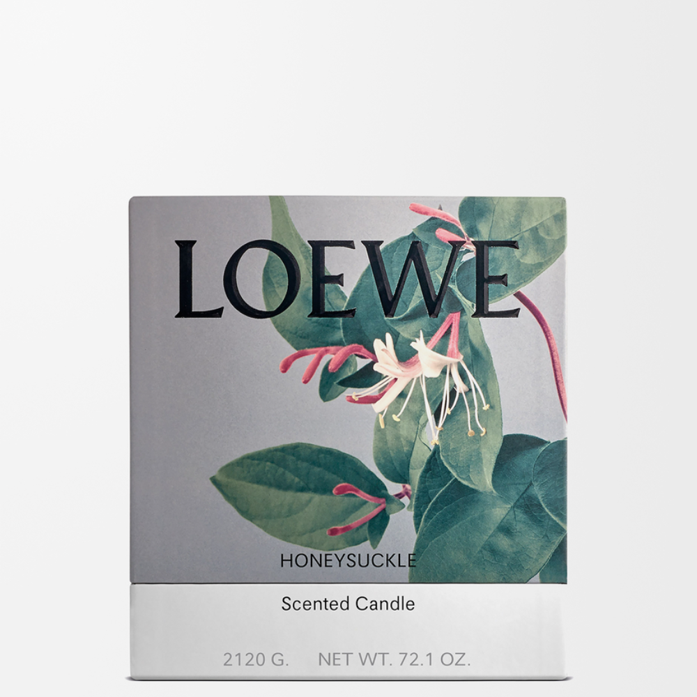 P000250X38_8100_1P-1000x1000 (1).png