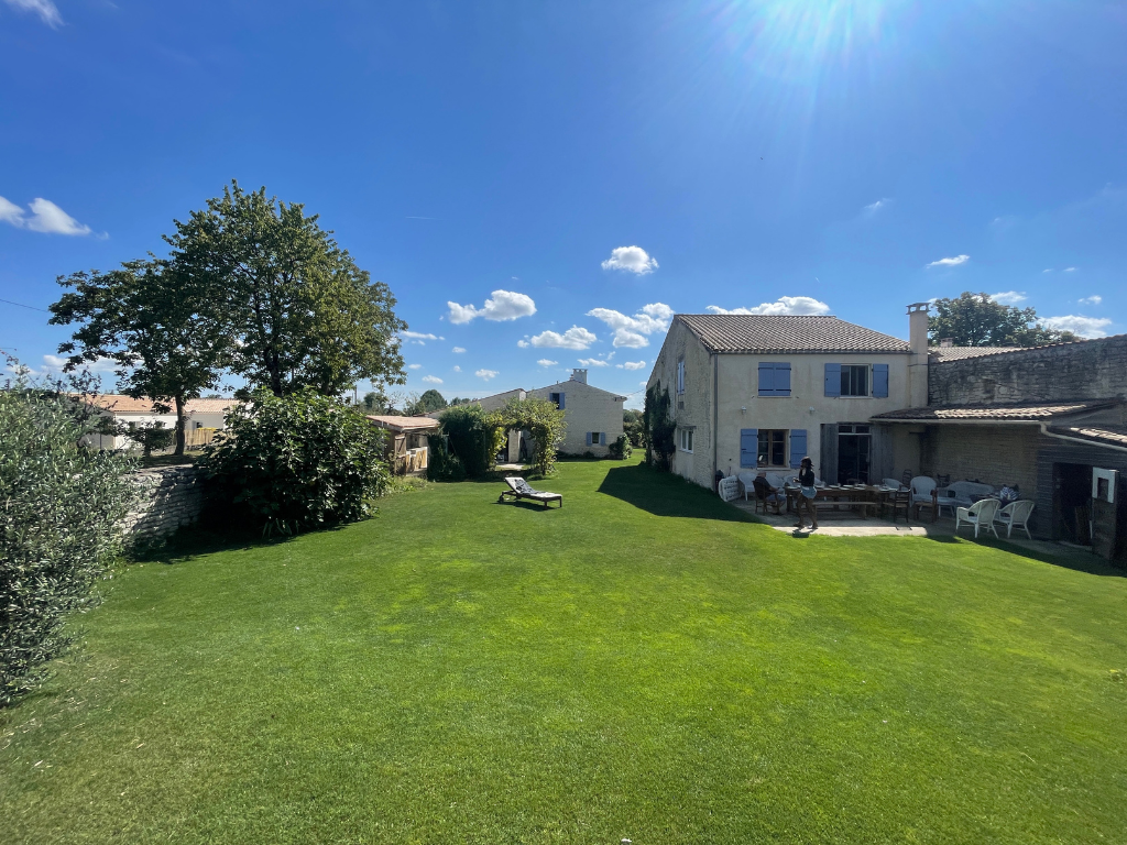 A sunny backyard with a large grassy lawn, a tree on the left, outdoor furniture near a house with a patio, and a clear blue sky with some clouds.
