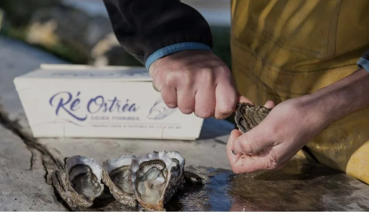 A person opening a fresh oyster on a wooden surface with a box labeled "Ré Ostrea" in the background.