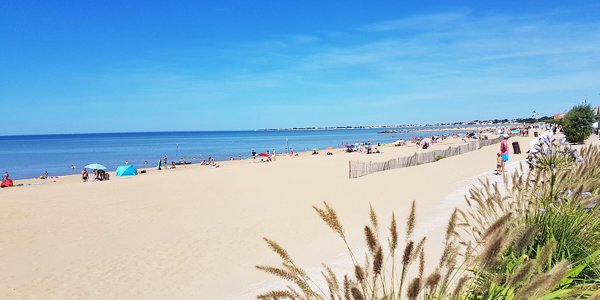 Sunny beach with people, umbrellas, and a clear blue sky, with ocean waves and grassy dunes in the foreground.