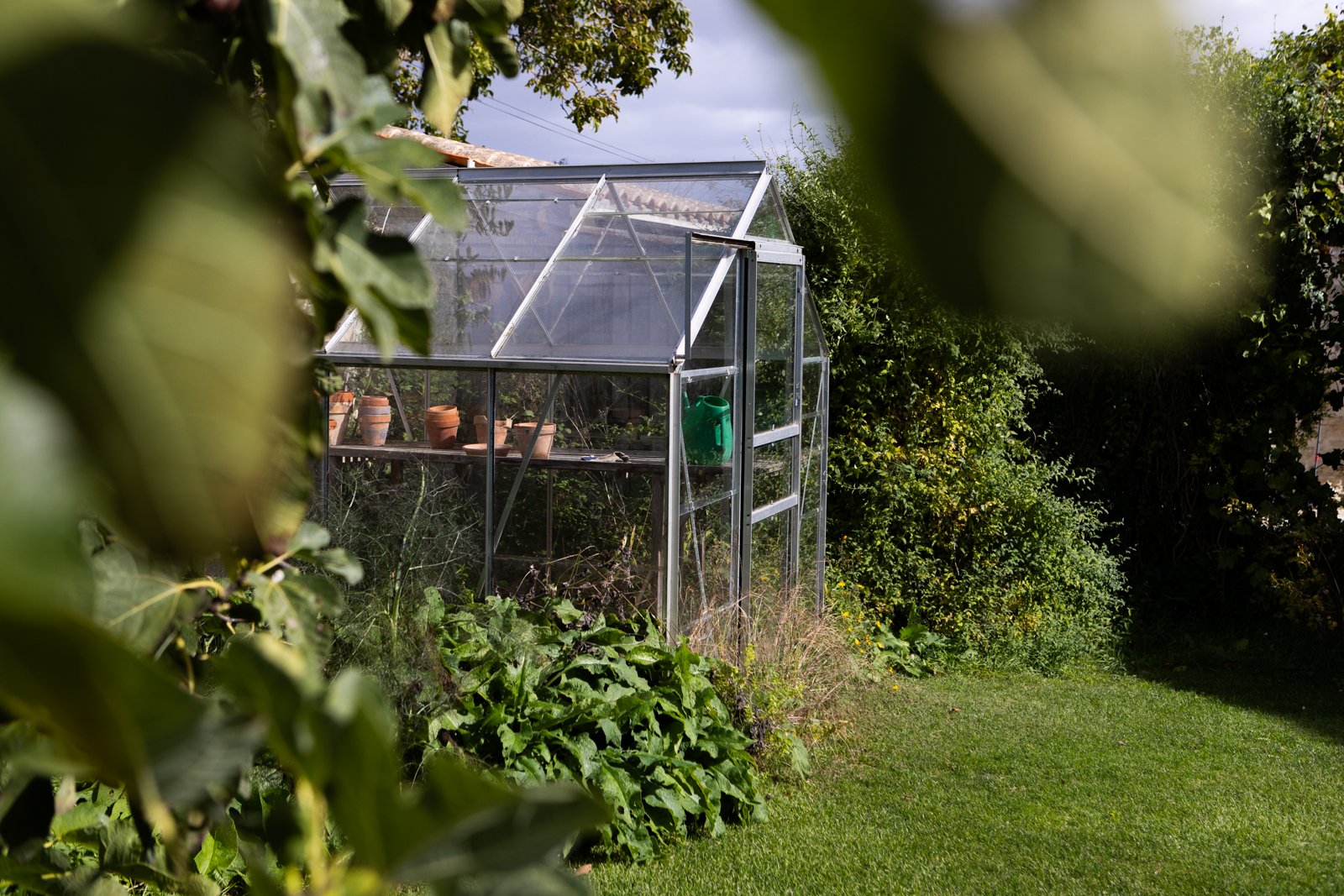 A garden scene featuring a glass greenhouse with potted plants on a shelf inside and a green watering can hanging on its frame, surrounded by lush greenery and grass.