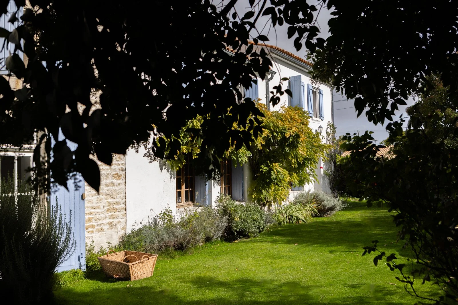 View of a garden with lush green grass, various plants and trees, and a white house with blue shutters partially visible through the foliage.