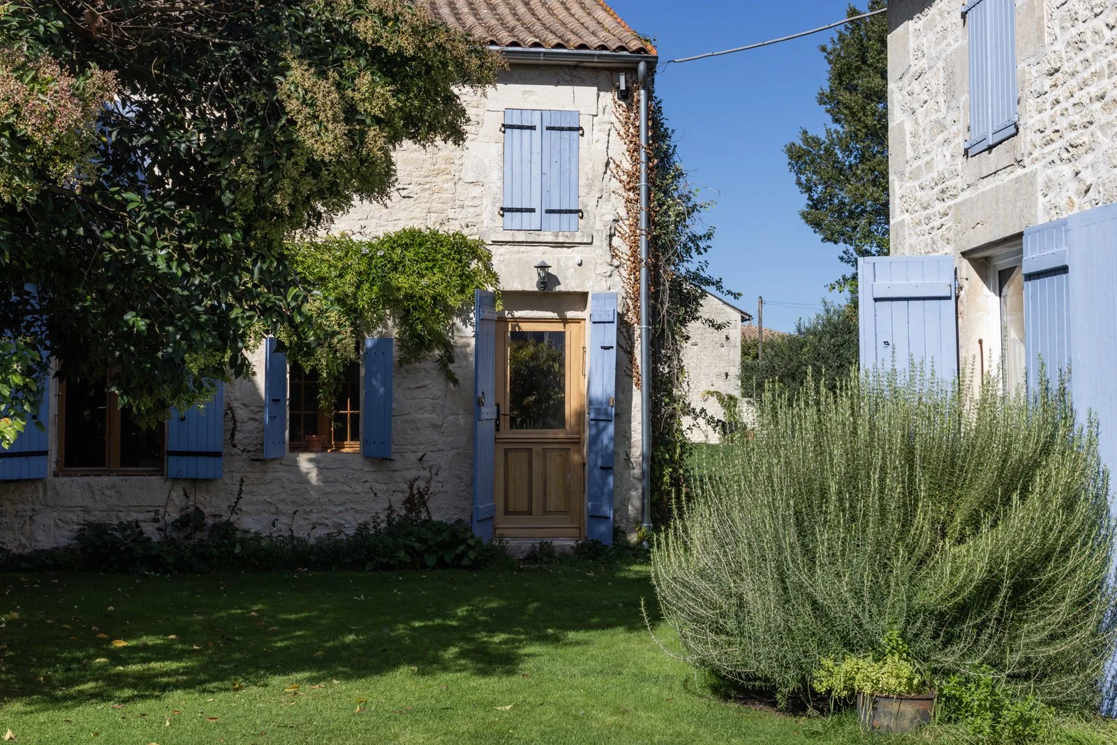 A stone house with blue shutters and a wooden door, surrounded by greenery and a large rosemary bush in the front yard, under a clear blue sky.