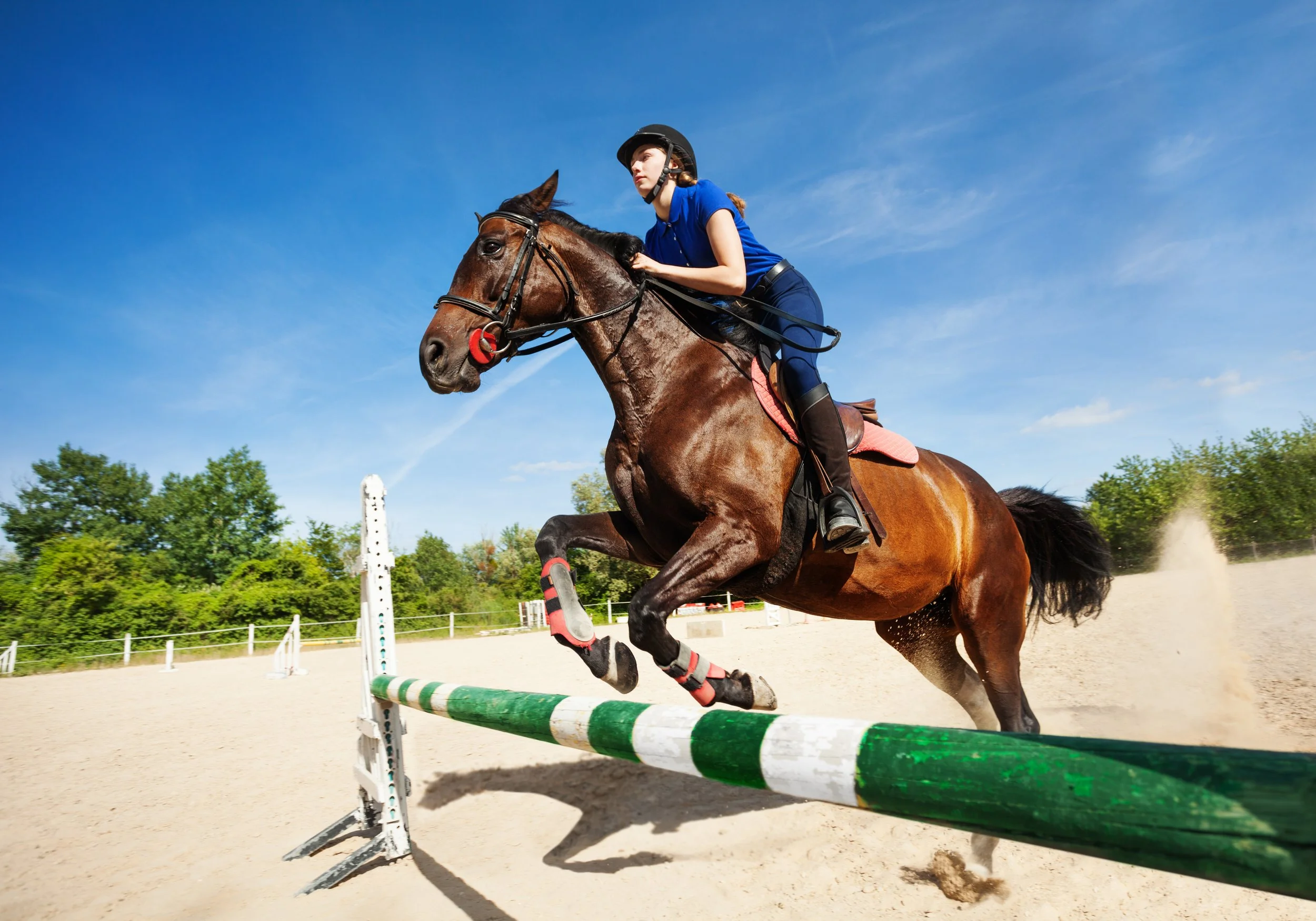 A young woman in blue riding gear and helmet jumping a green and white obstacle on a brown horse during an outdoor equestrian event on a sunny day with blue sky and green trees in the background.