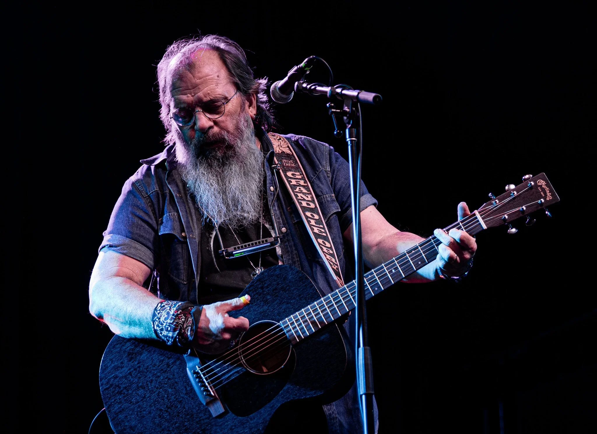Steve Earle.jpg