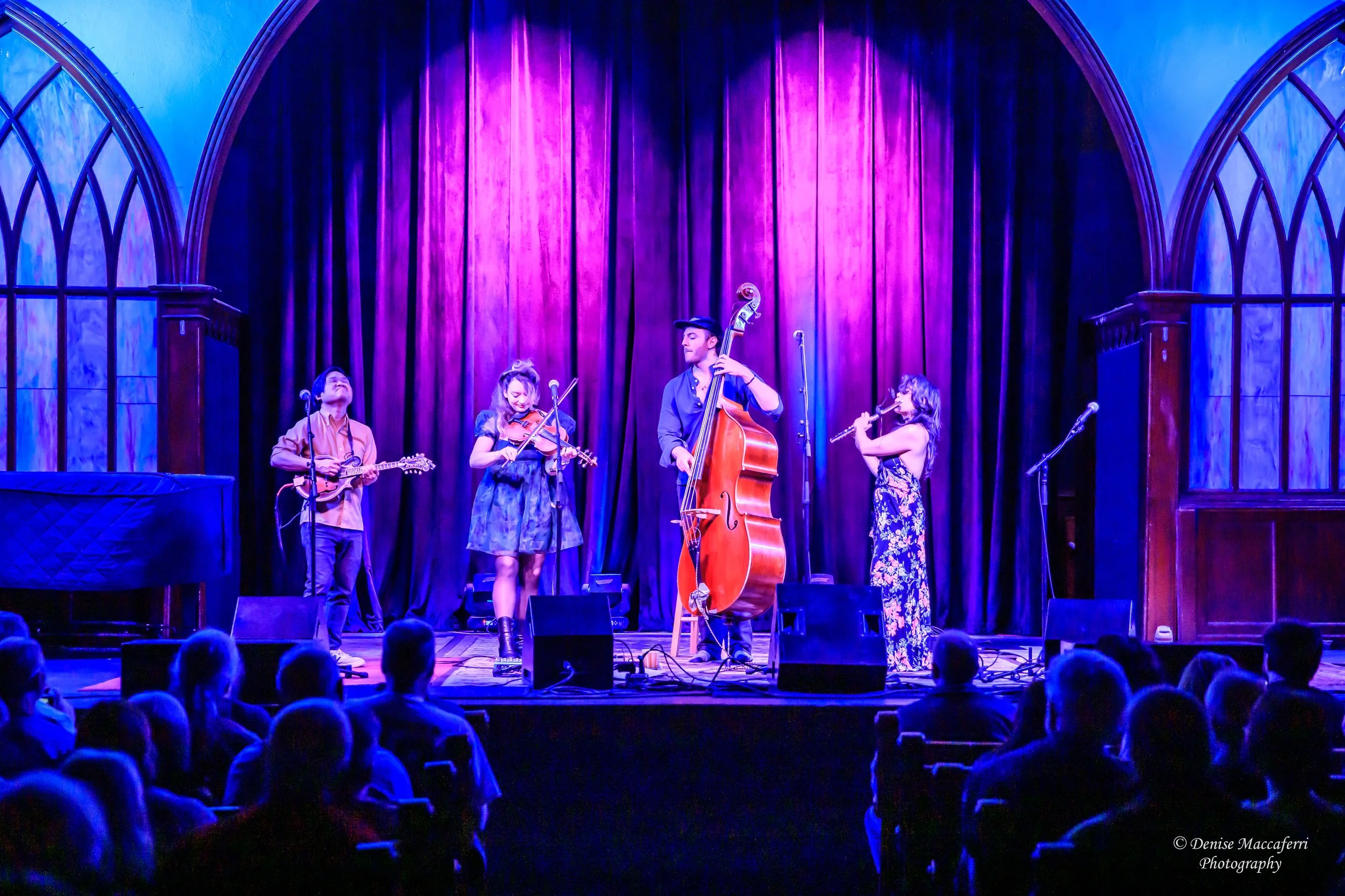 Twisted Pine-4941.jpg