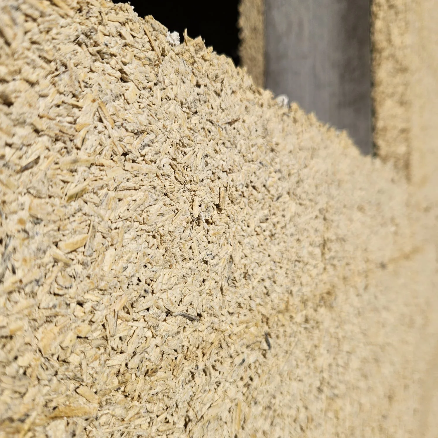 Close-up view of a pile of wood shavings or sawdust.