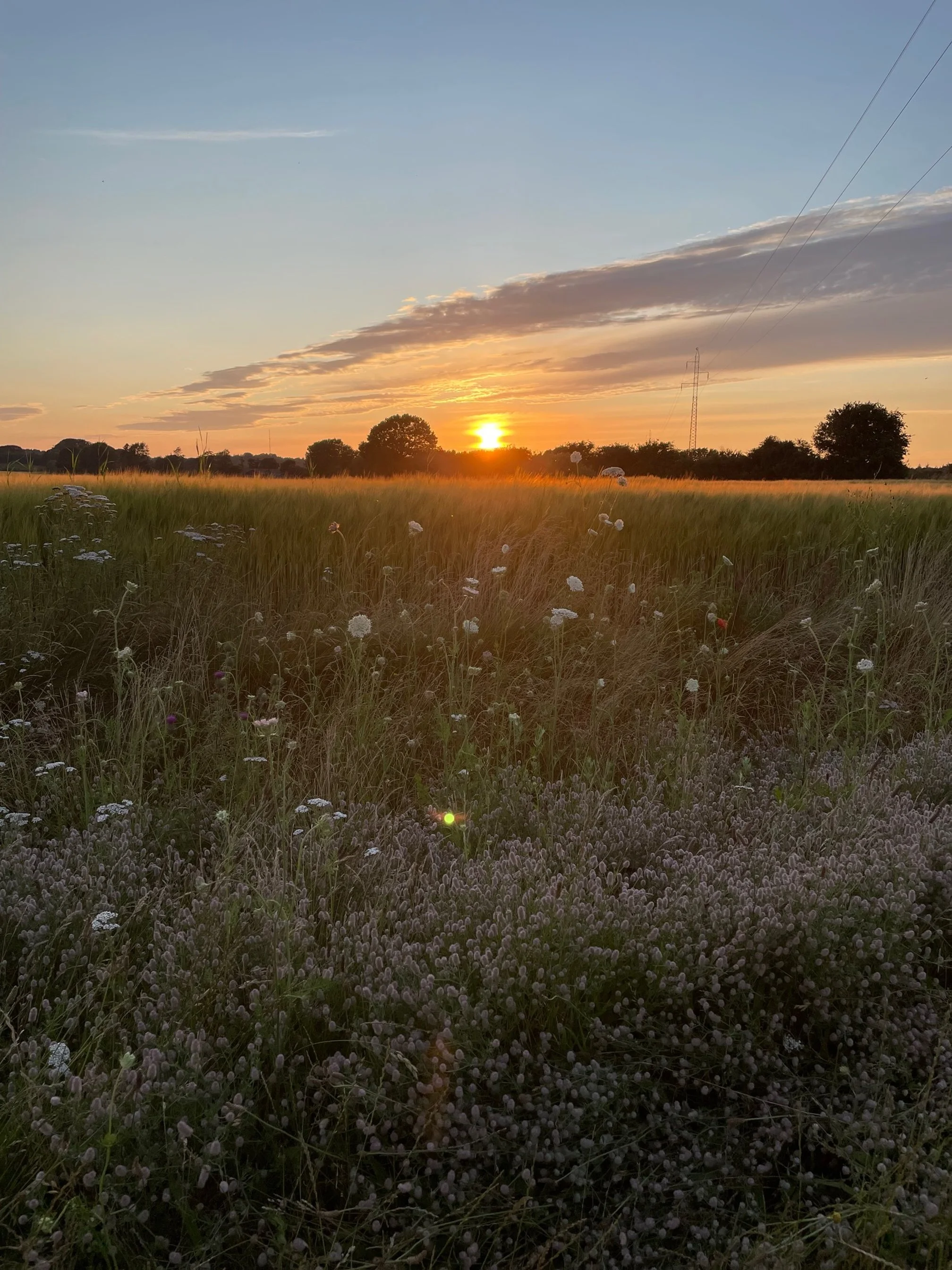 Gårdovernatning Sønderjylland – Bremsmaj Farmstay med moderne lejligheder, natur og landlig charme.