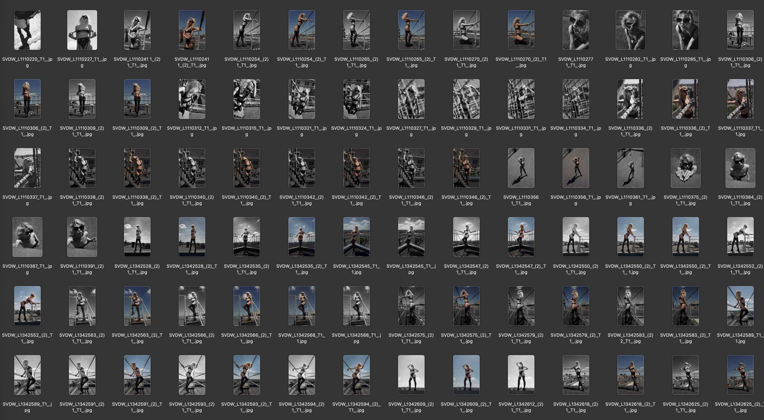 Bildschirmfoto 2026-07-19 um 16.24.33.png
