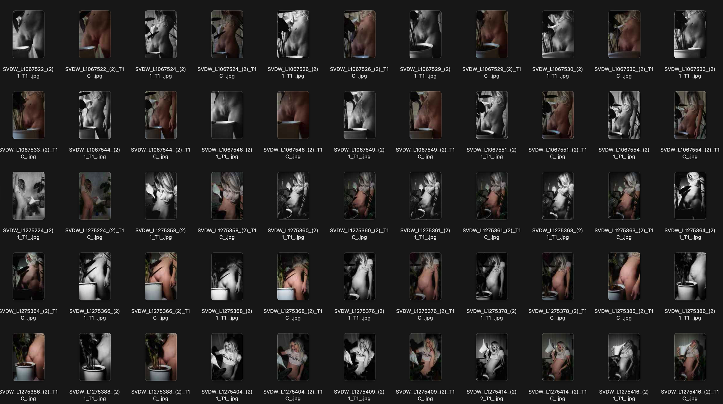 Bildschirmfoto 2026-04-13 um 15.21.56.png