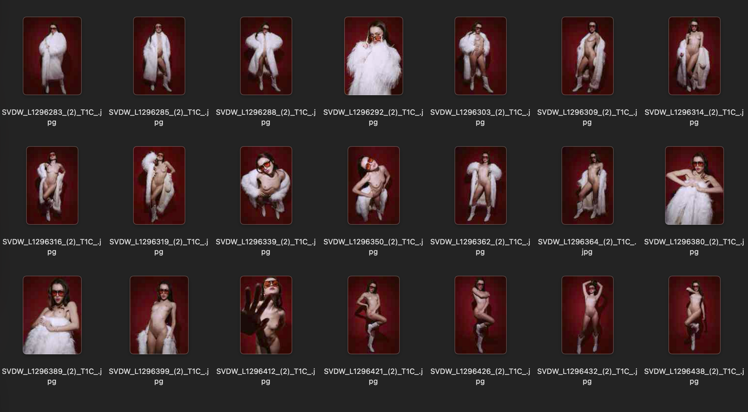 Bildschirmfoto 2026-05-19 um 17.29.37.png