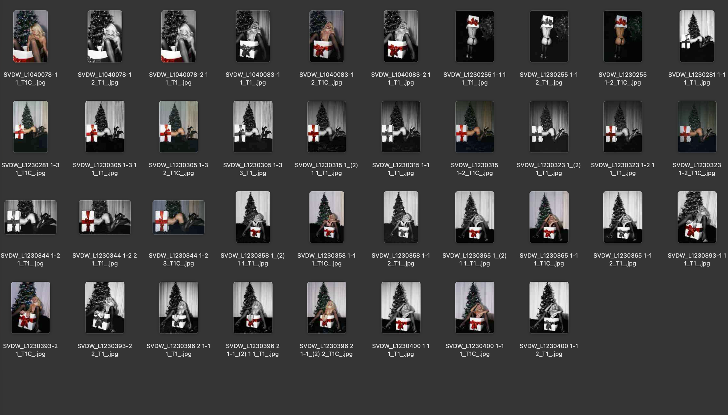 Bildschirmfoto 2026-07-19 um 16.44.30.png