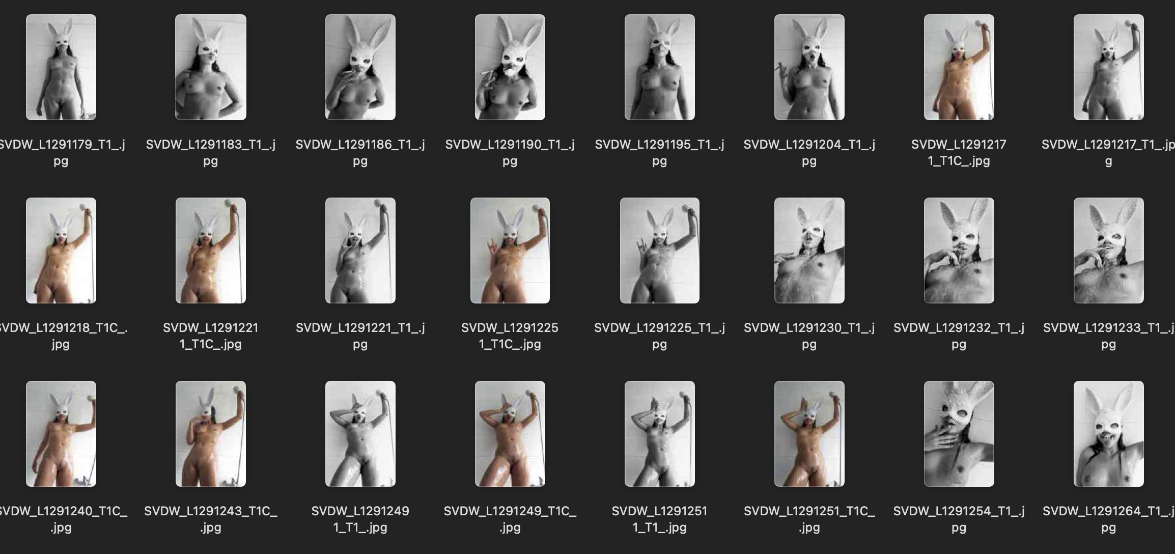 Bildschirmfoto 2026-04-29 um 18.01.48.png