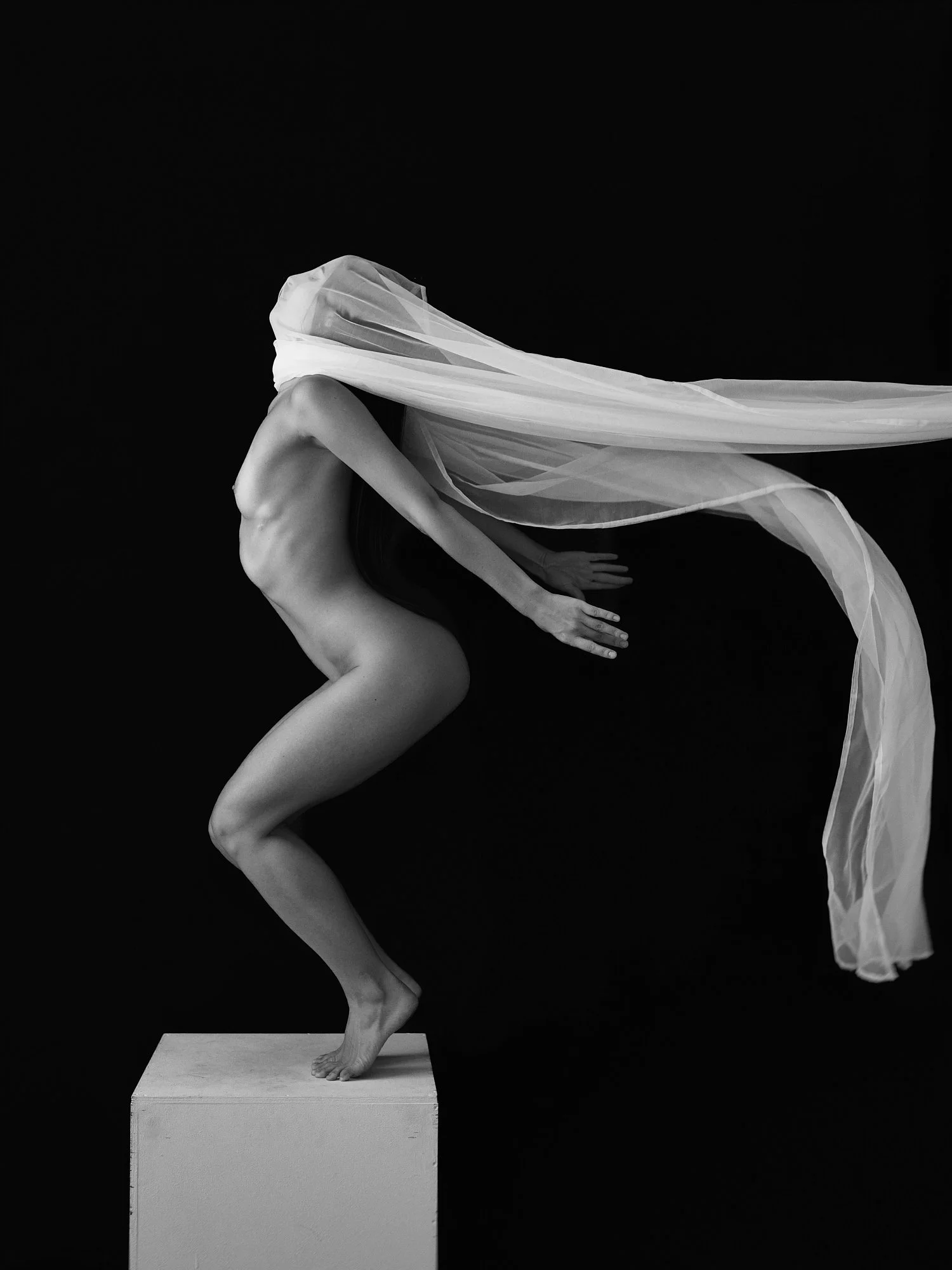 SVDW_L1001578_(2) 1_T1_.jpg