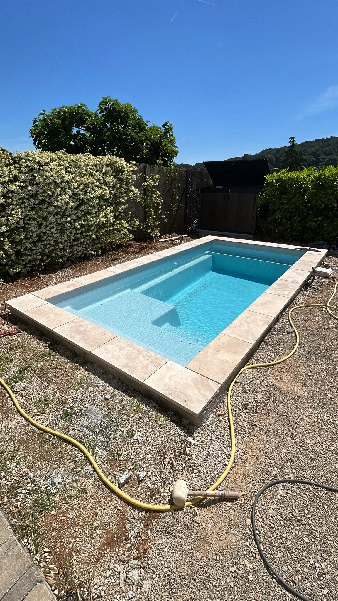 Petite piscine creusée dans un jardin, entourée de dalles, avec un grillage, des buissons et un arbre en arrière-plan, sous un ciel bleu clair.