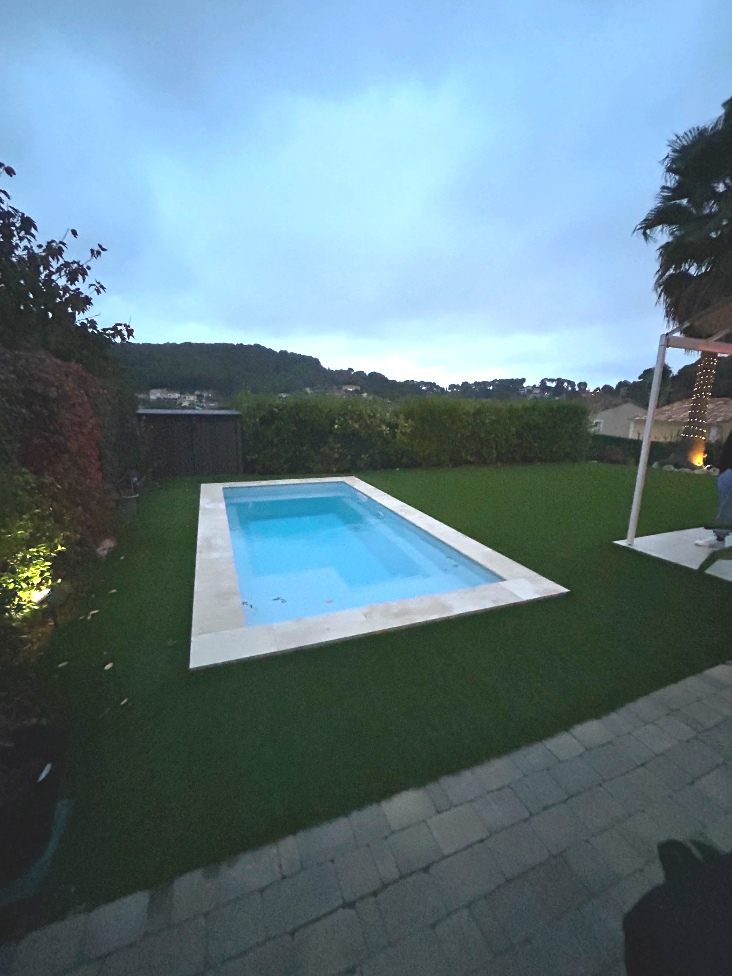 Piscine creusée dans une pelouse à l'extérieur, avec un ciel en soirée ou tôt le matin, entourée de haies et d'arbres, dans un environnement résidentiel.