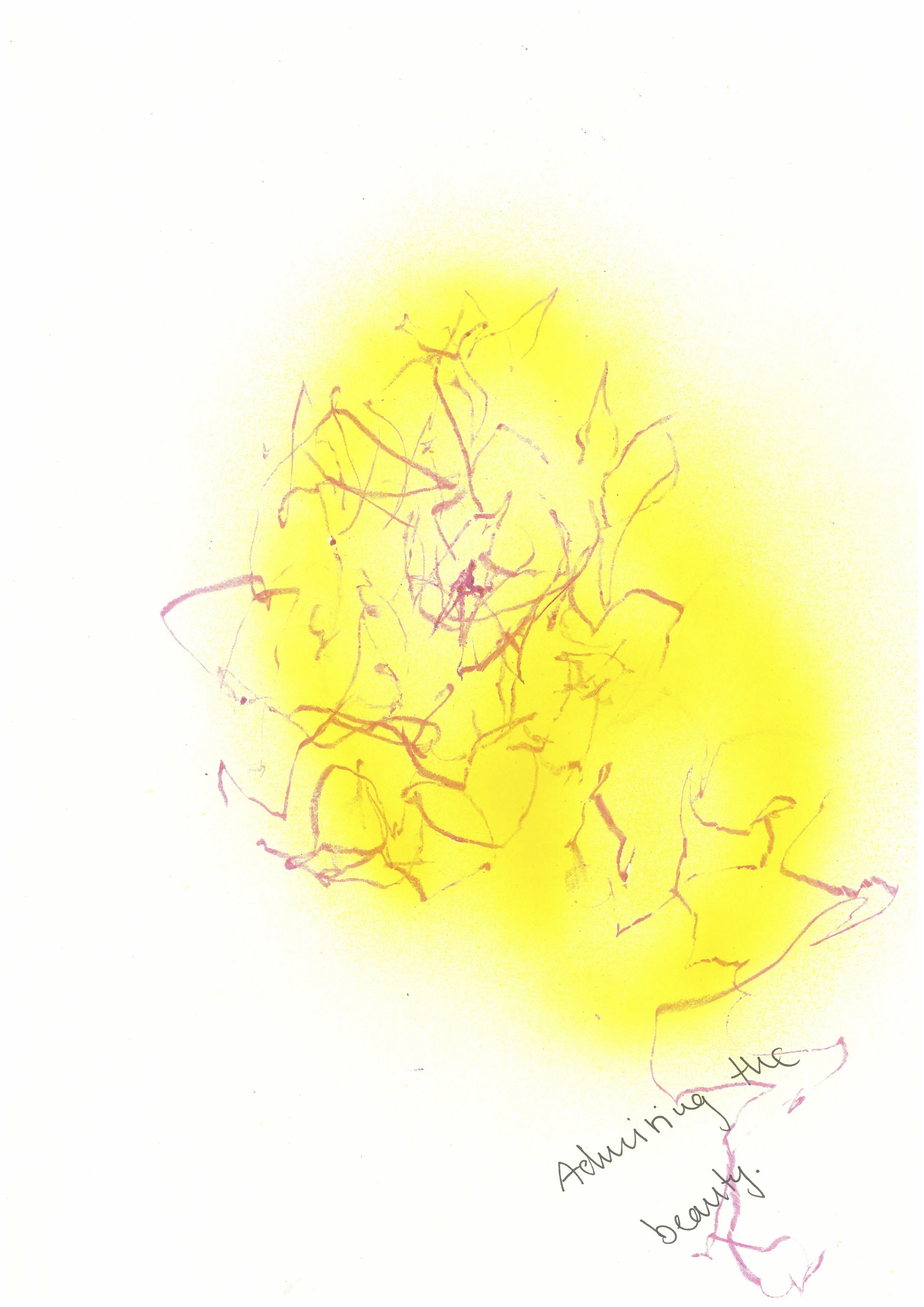 Admiring the beauty..jpg