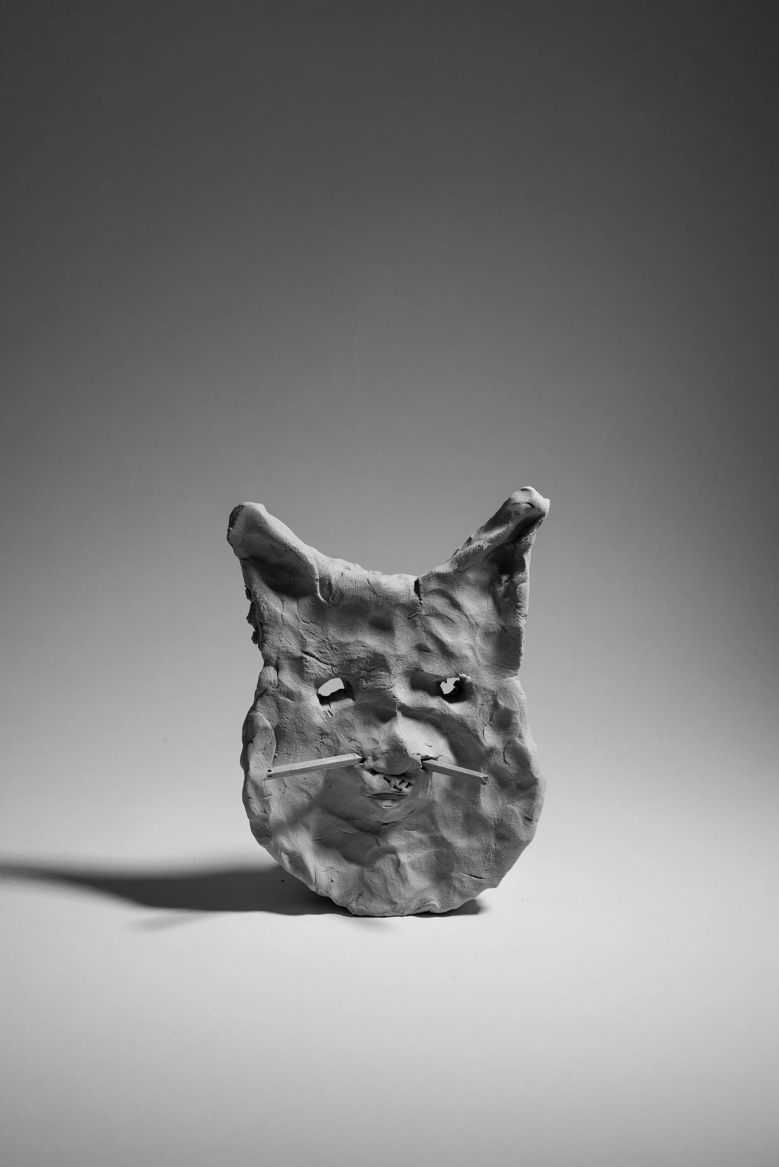 Büsi – A Not So Guilty Pleasure, 2015 / Lufttrocknender Ton / Kunsthaus Baselland / Grösse variabel
