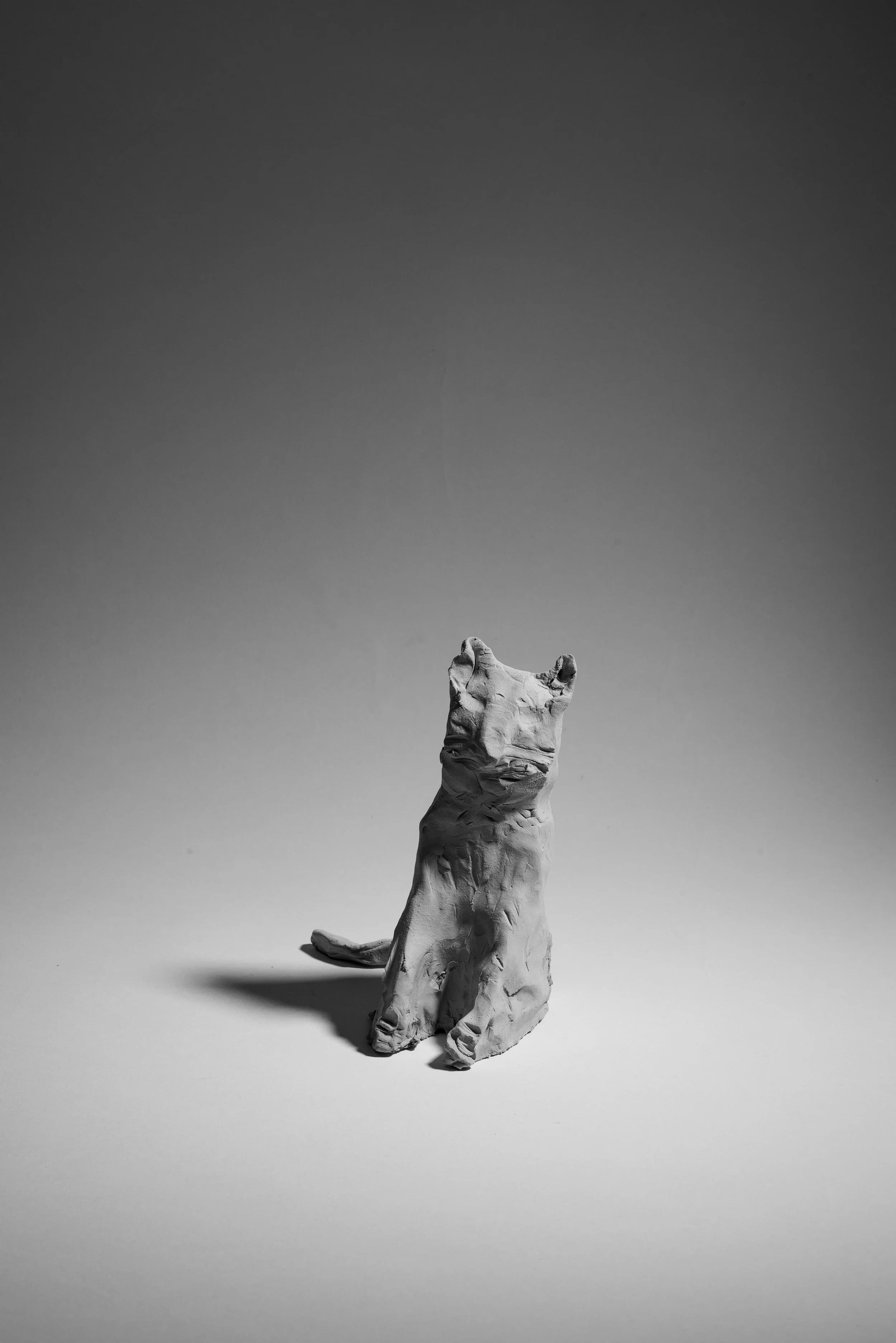 Büsi – A Not So Guilty Pleasure, 2015 / Lufttrocknender Ton / Kunsthaus Baselland / Grösse variabel