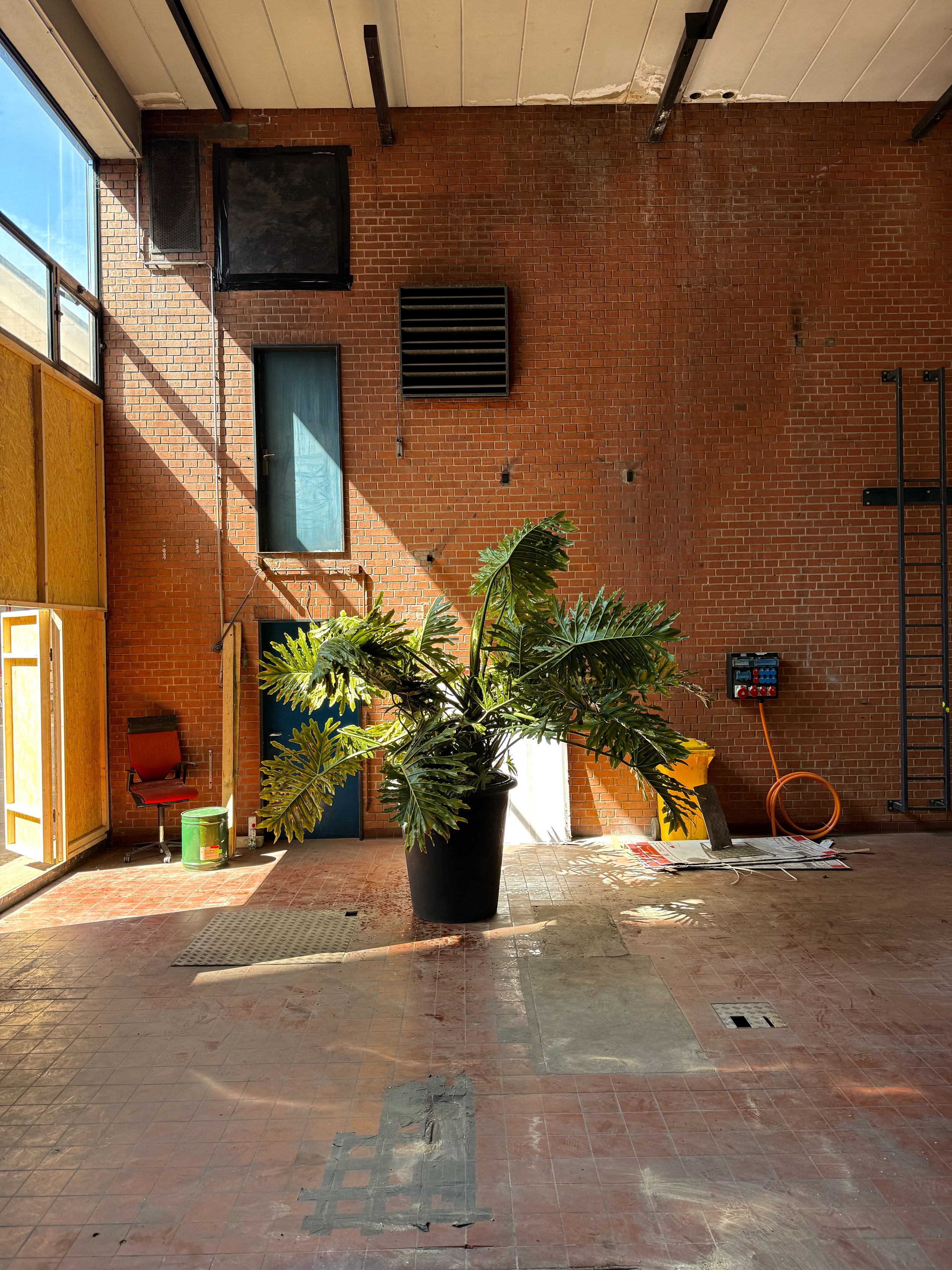 Unser Atelier im Franck Areal / Basel, 2025
