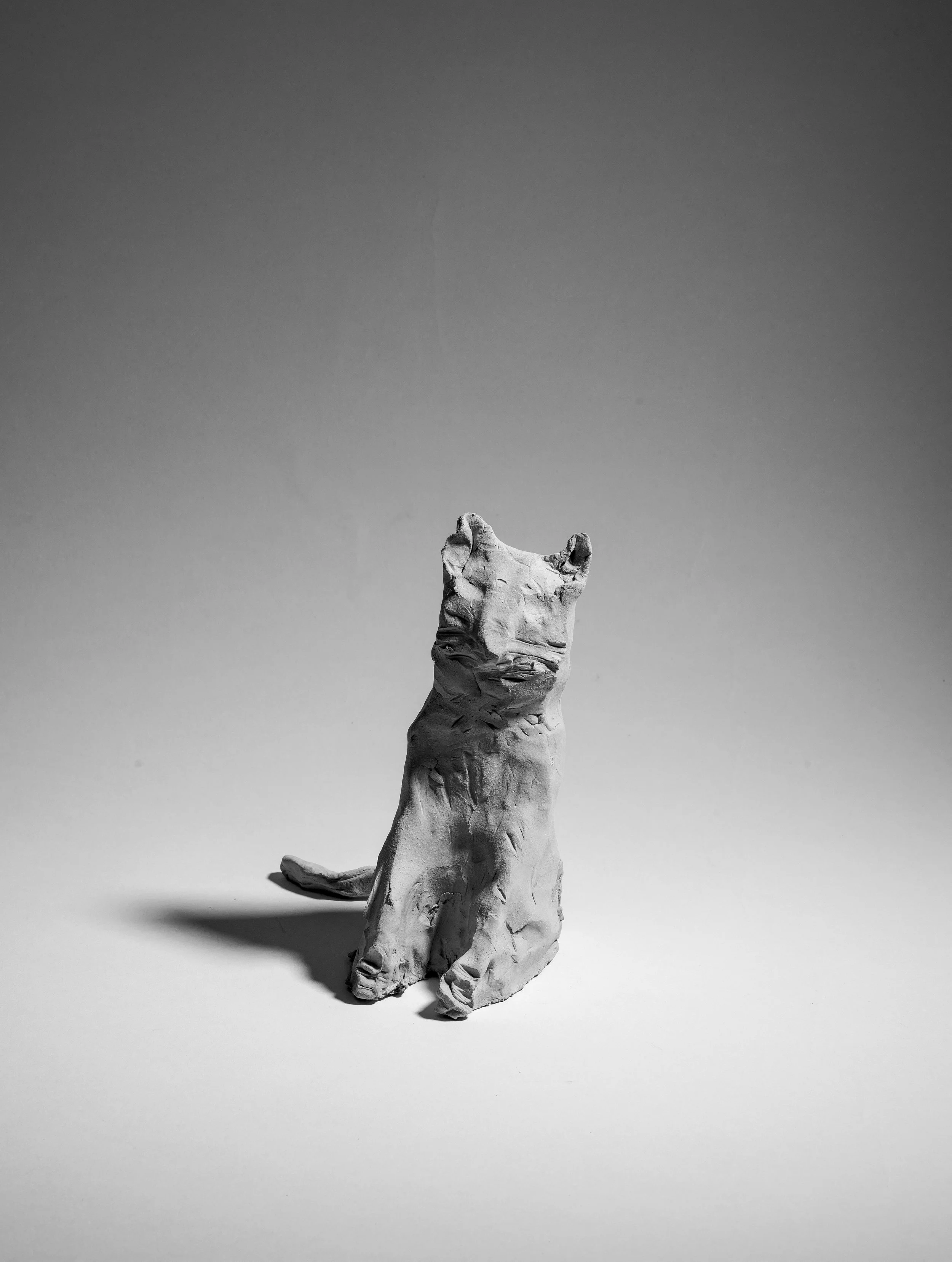 Büsi – A Not So Guilty Pleasure, 2015 / Lufttrocknender Ton / Kunsthaus Baselland / Grösse variabel