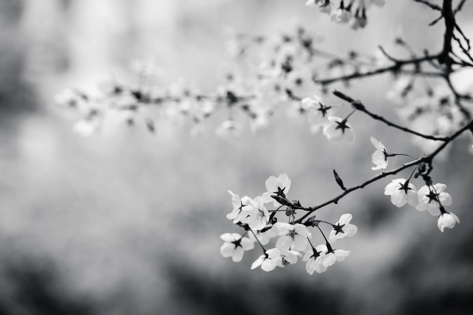 Women’s Root-Cause Wellness Session