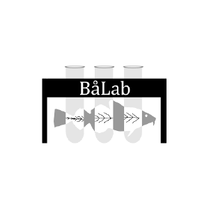 BåLab-Logo-Nettside.png