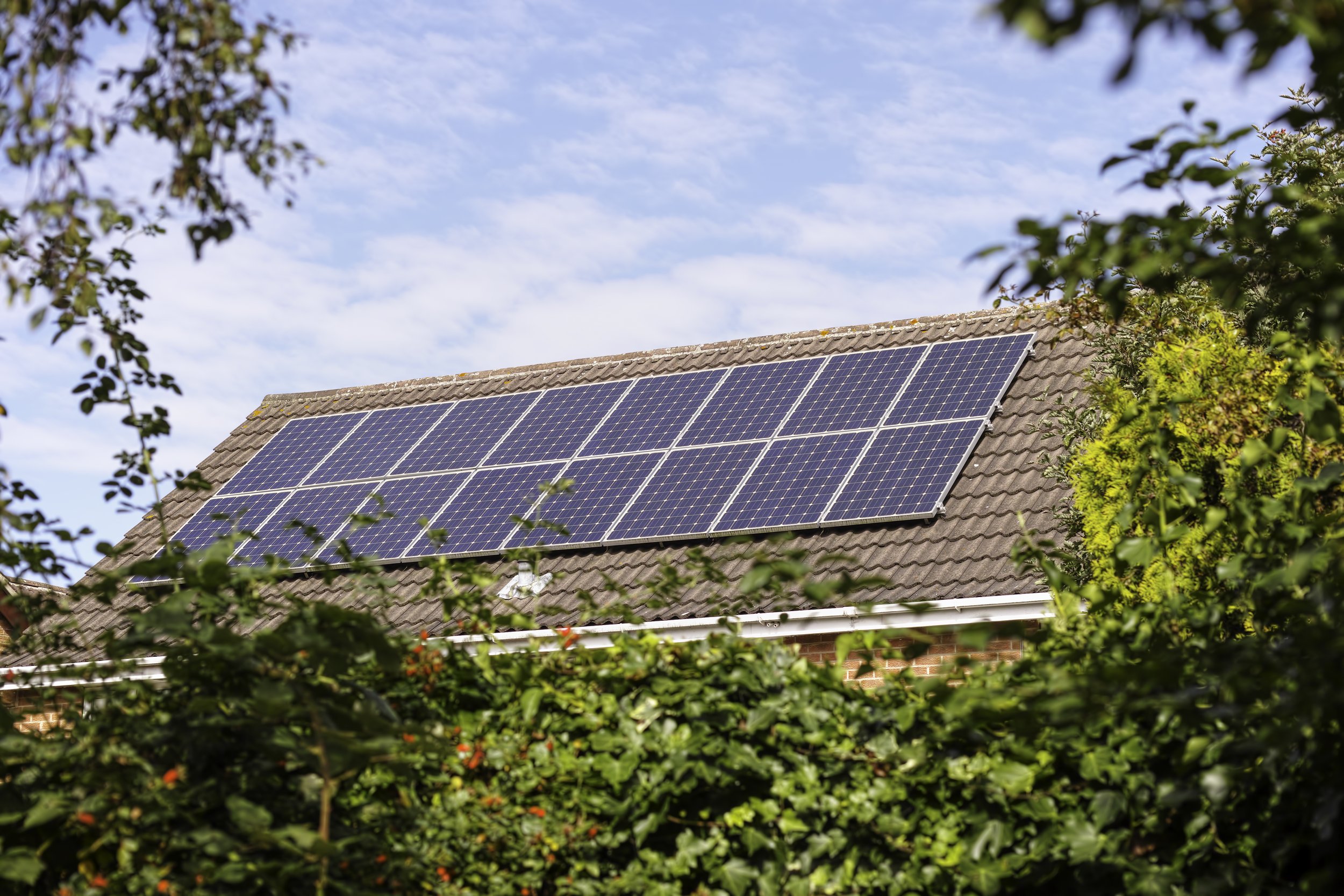 Solar panels on a roof surrounded by greenery