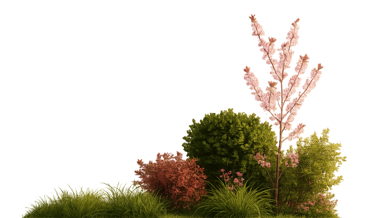 Collection of various ornamental shrubs and trees, including pink flowering trees, green leafy bushes, and tall grasses.