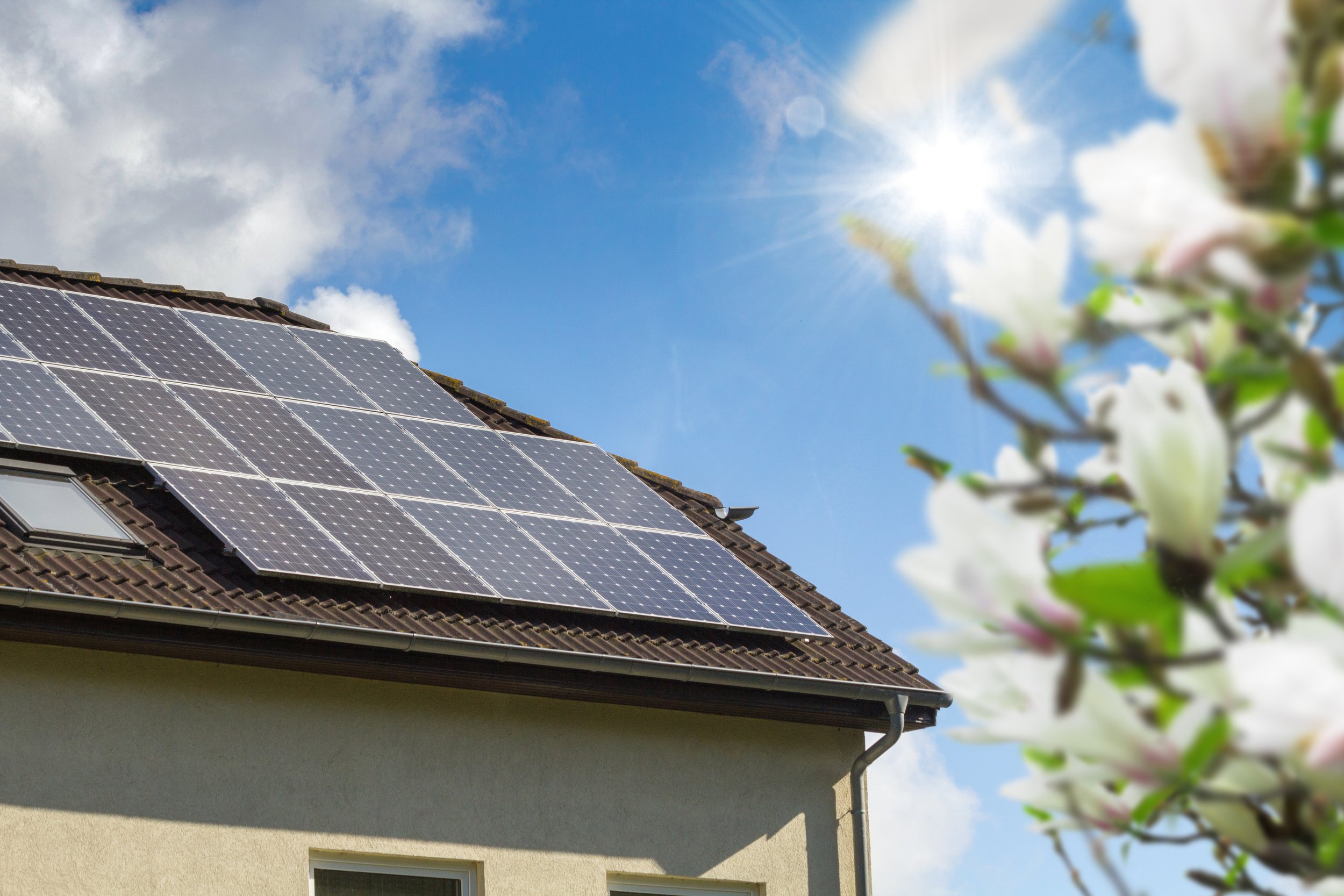 Solar panels on a house roof with bright sun and blossoms