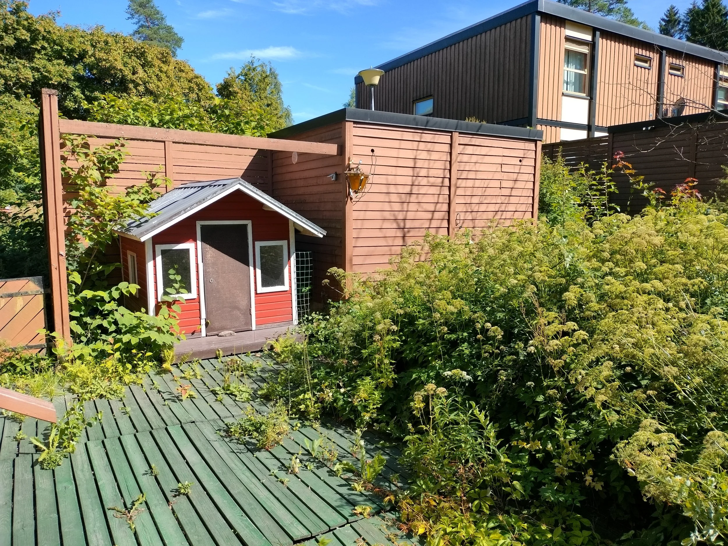 A backyard with a small red playhouse with a white trim and closed door, surrounded by green plants and shrubs, with a wooden deck in the foreground and taller wooden fencing behind. A modern two-story house with wood paneling and large windows is vi