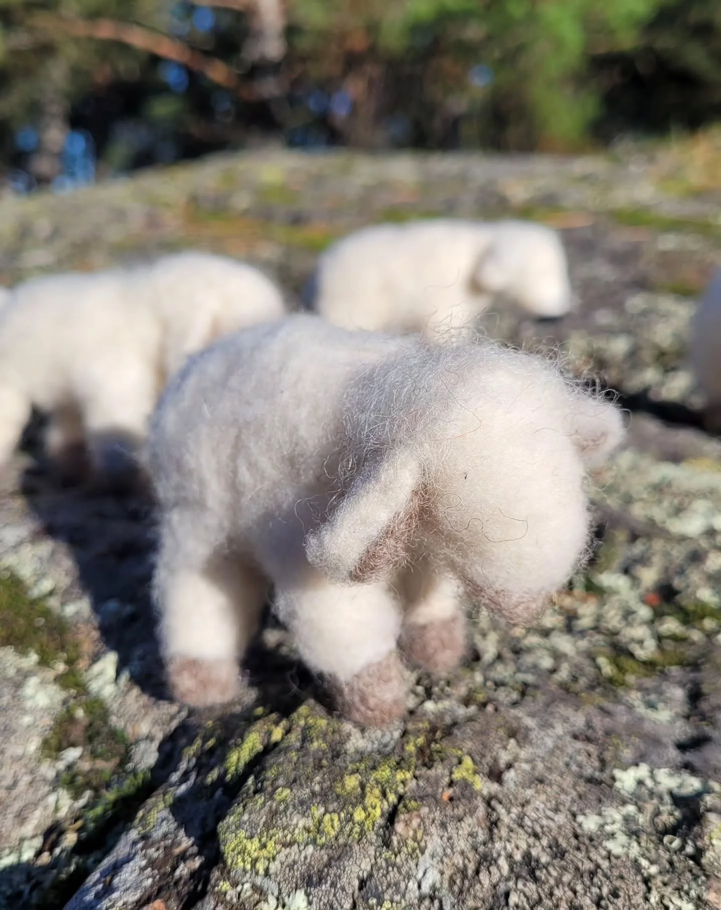 H&oslash;stlam til h&oslash;stbord, pynt eller lek🐑 200,-

#needlefelt #n&aring;lfiltning #ullfigurer #naturligeleker #sesongbord