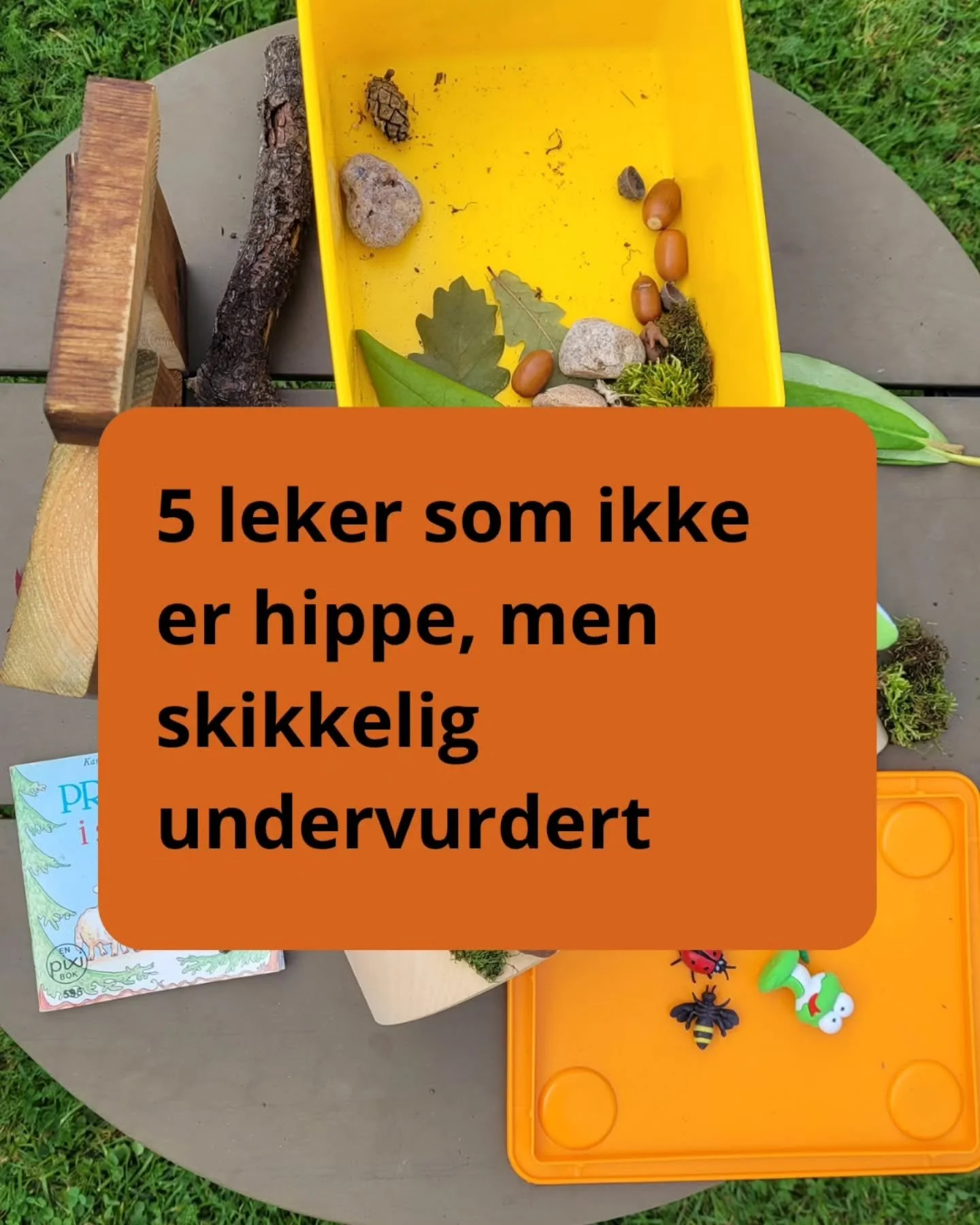 Vi voksne kan bli litt for opptatte av "riktige leker" 
Til den grad at det n&aelig;rmest blir et statussymbol med "riktige leker fra riktige merker"

Men noen ganger m&aring; vi spole helt tilbake
Og huske at det aller enkleste
o