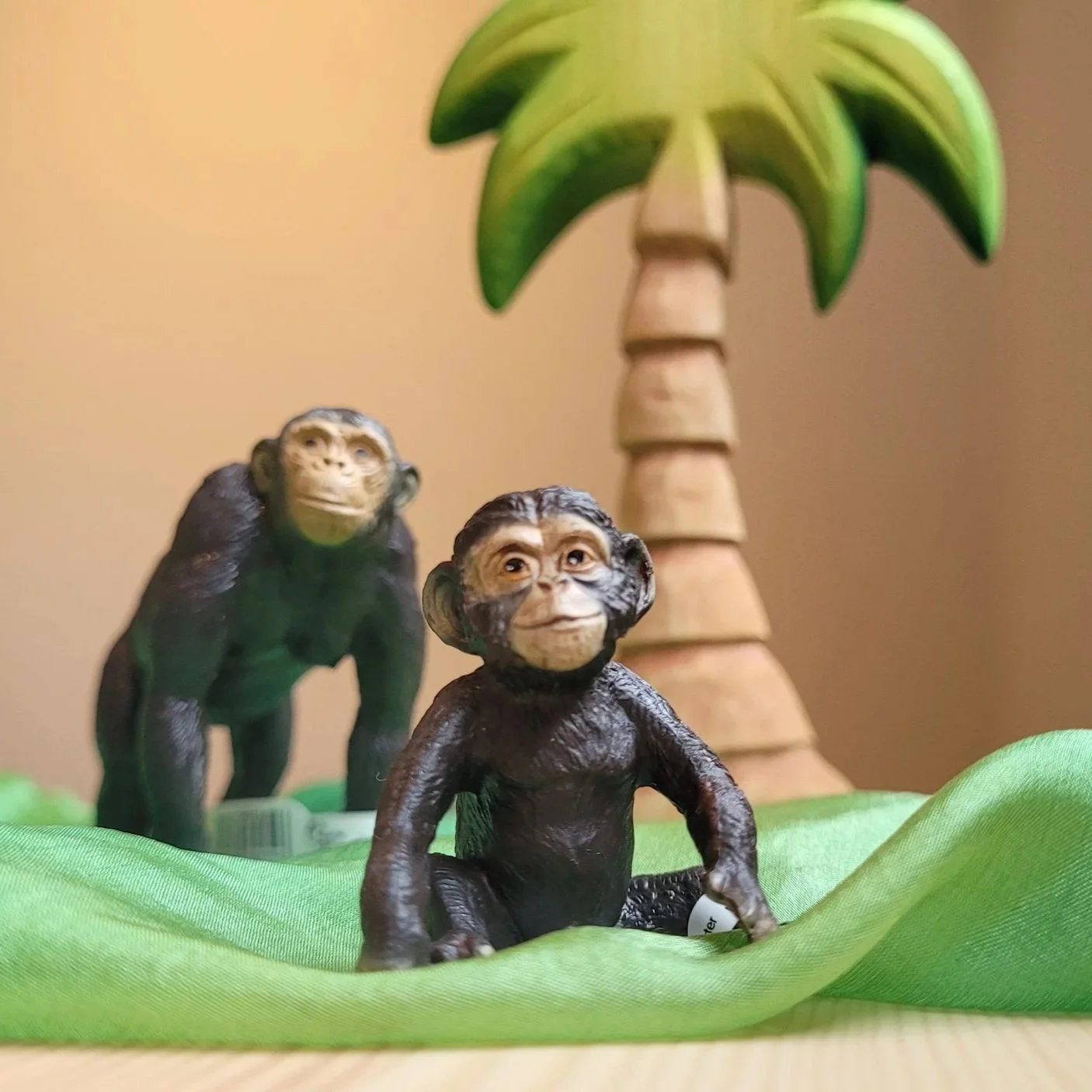 En liten verden – lekesett: Sjimpansene i jungelen