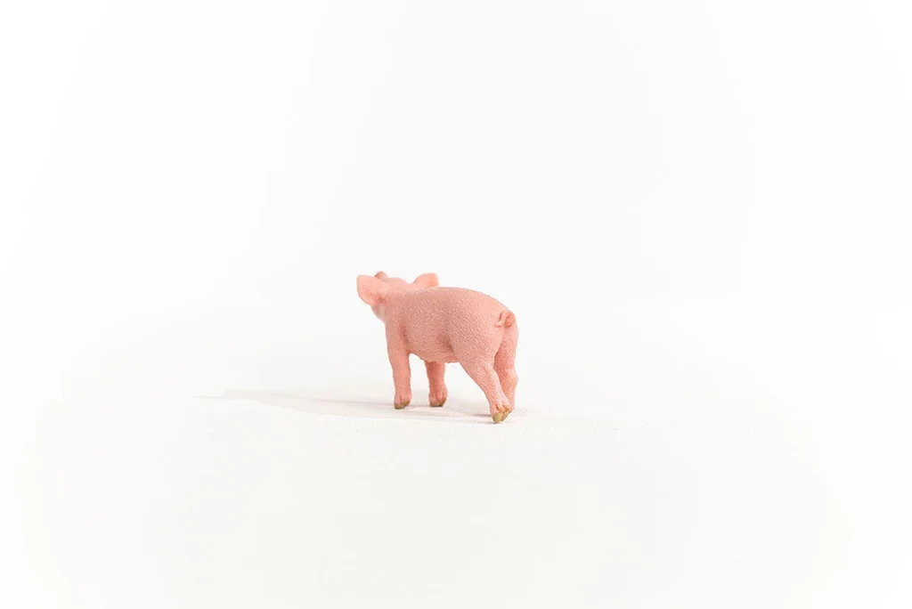 piglet back 'schleich.webp