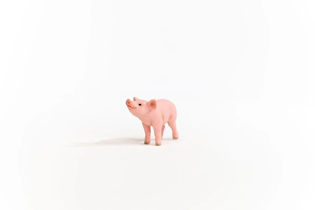 piglet front schleich.webp