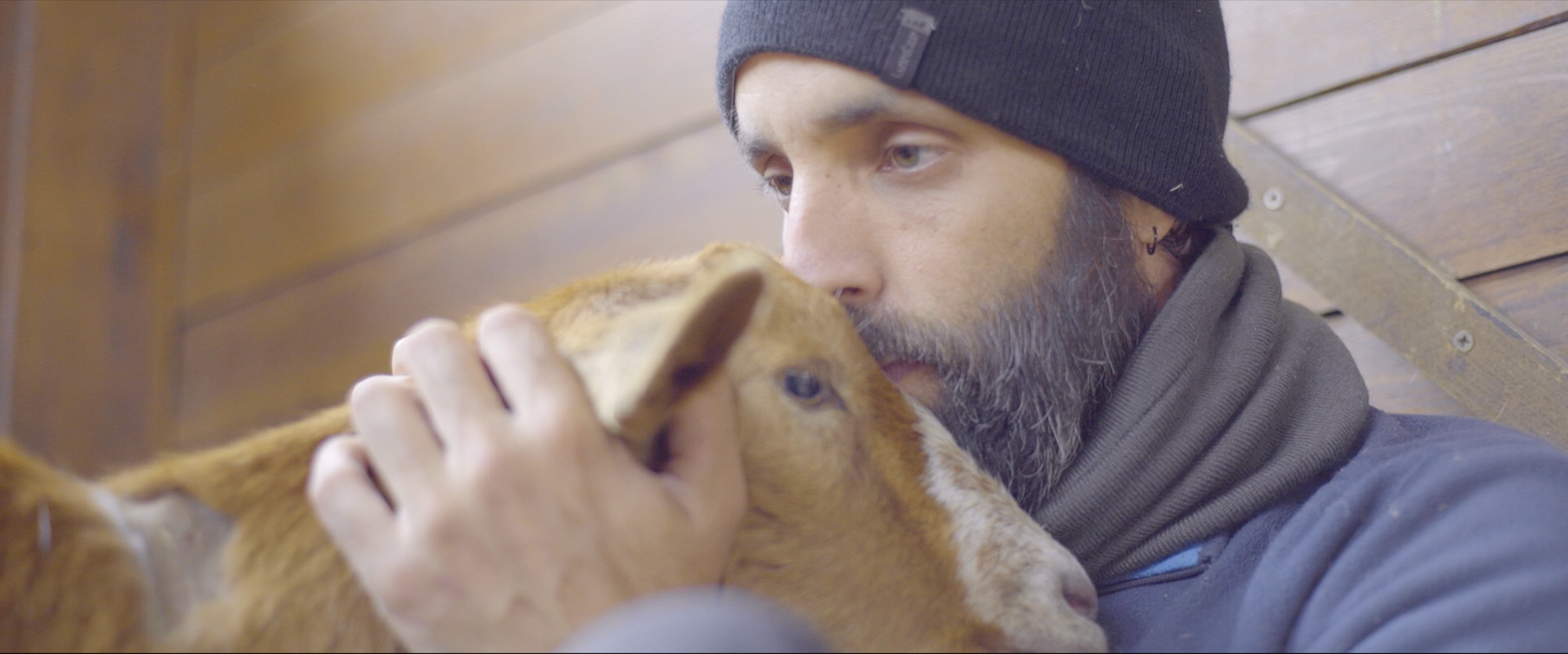 Captura de pantalla 2026-01-20 a las 11.46.10.png