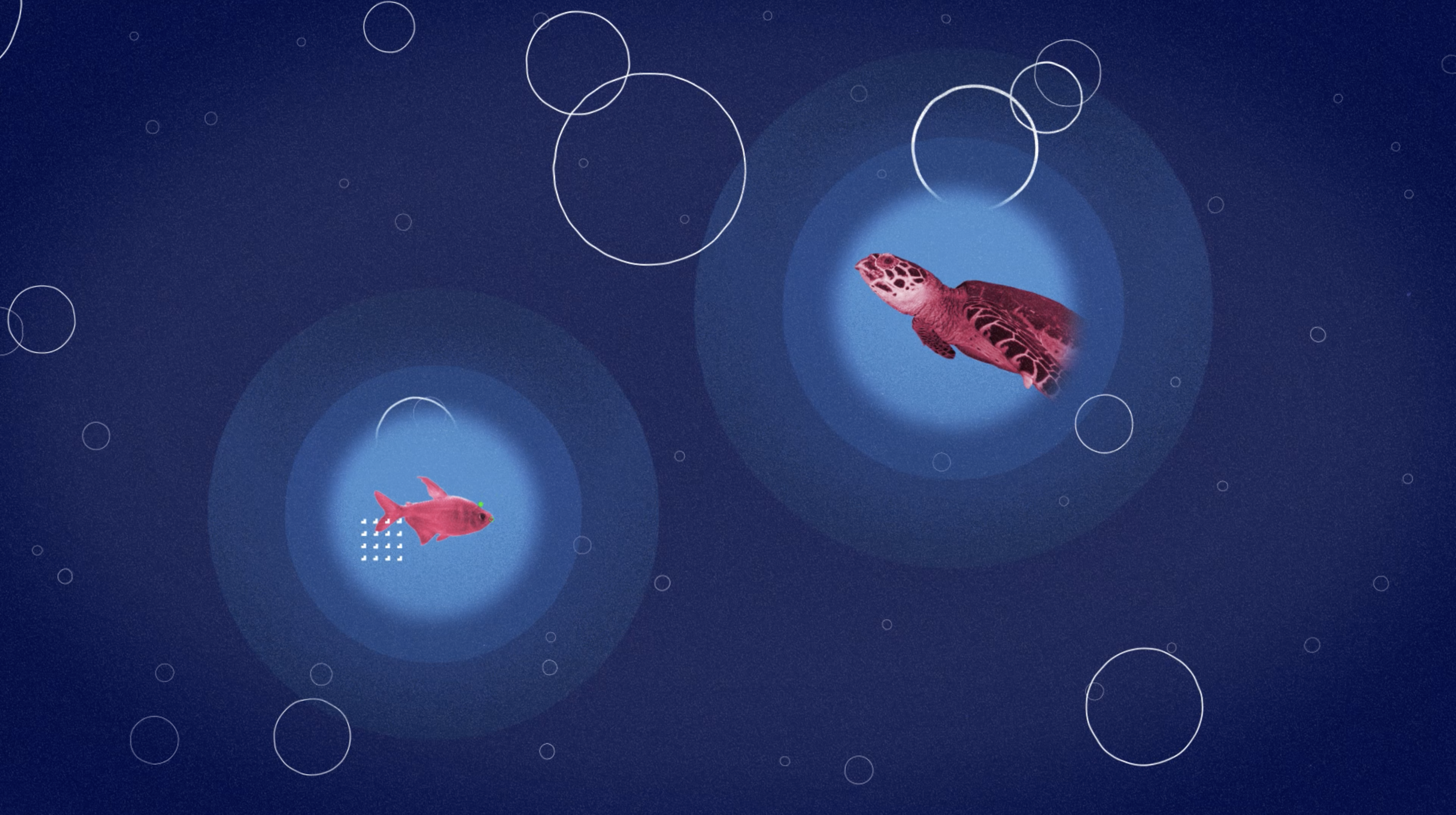 Captura de pantalla 2025-10-27 a las 14.33.47.png