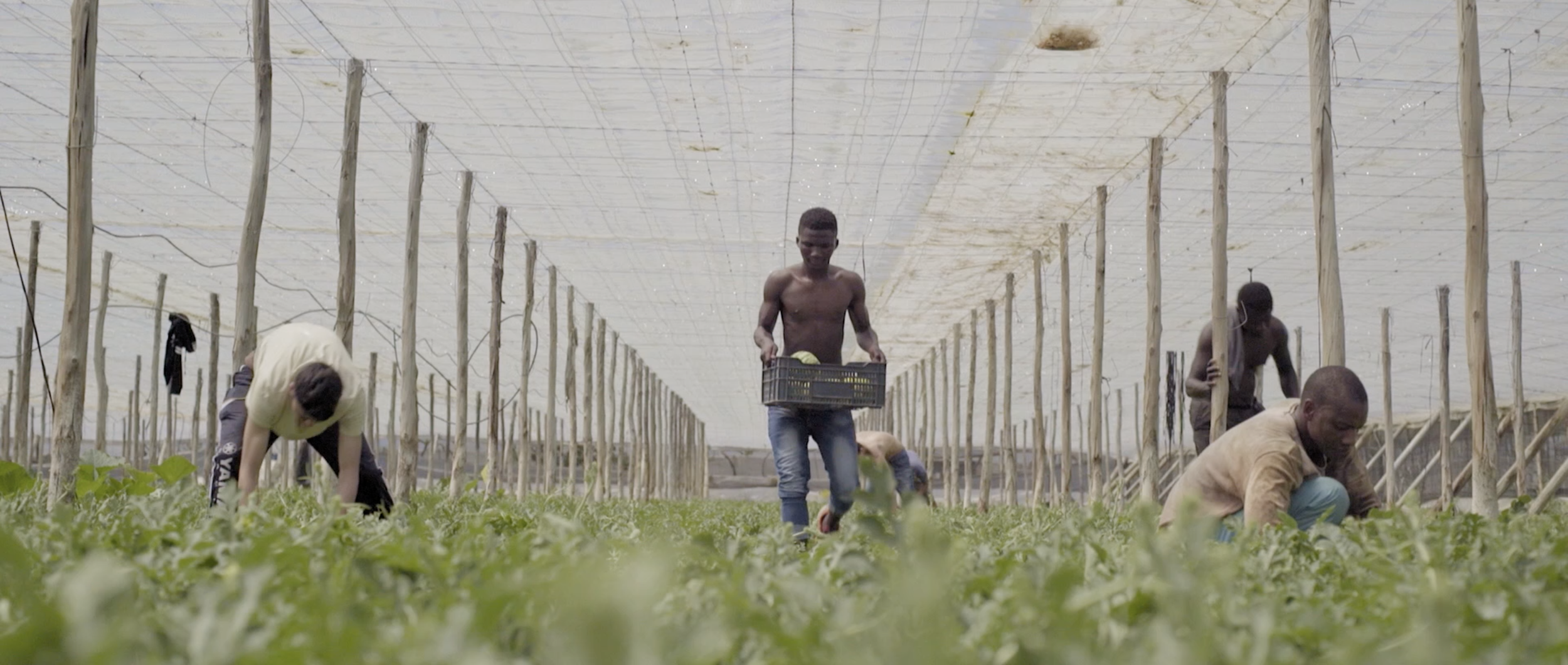 Captura de pantalla 2026-01-20 a las 11.47.36.png