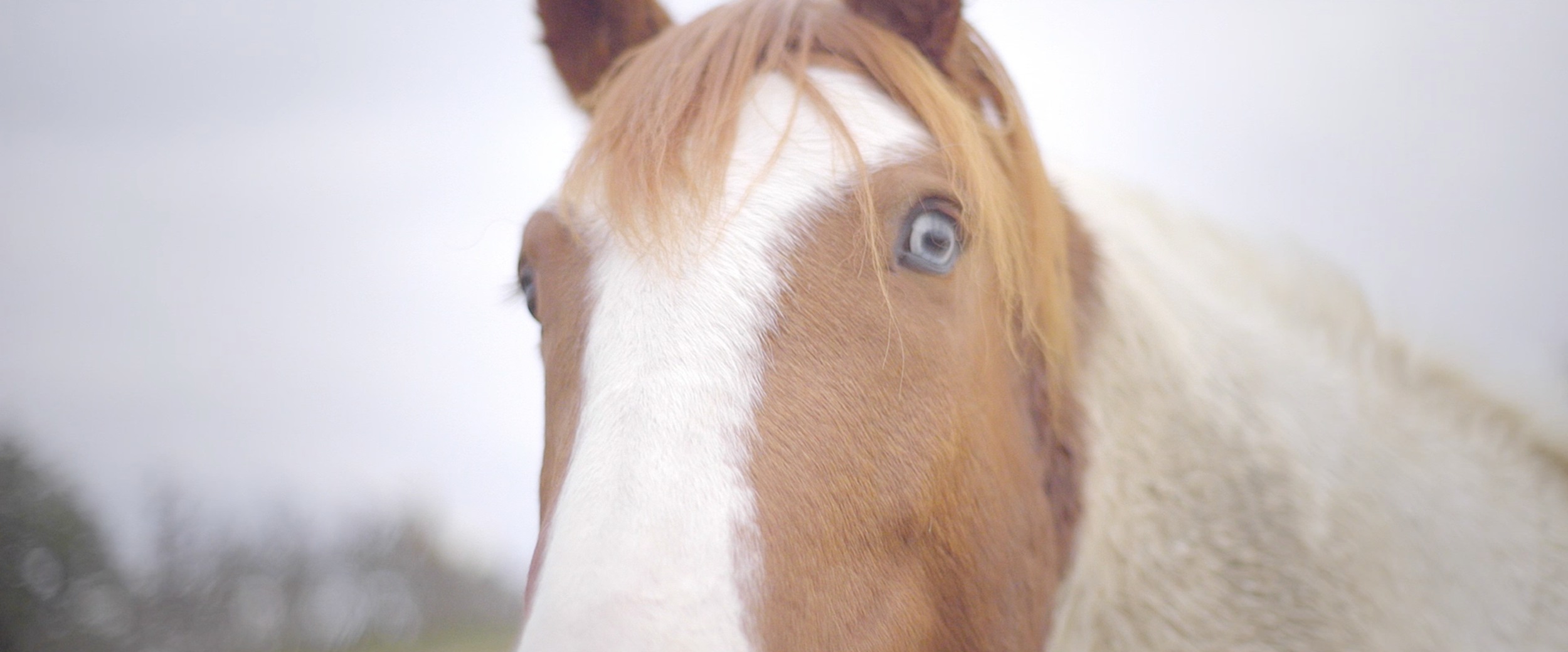 Captura de pantalla 2026-01-20 a las 11.44.51.png