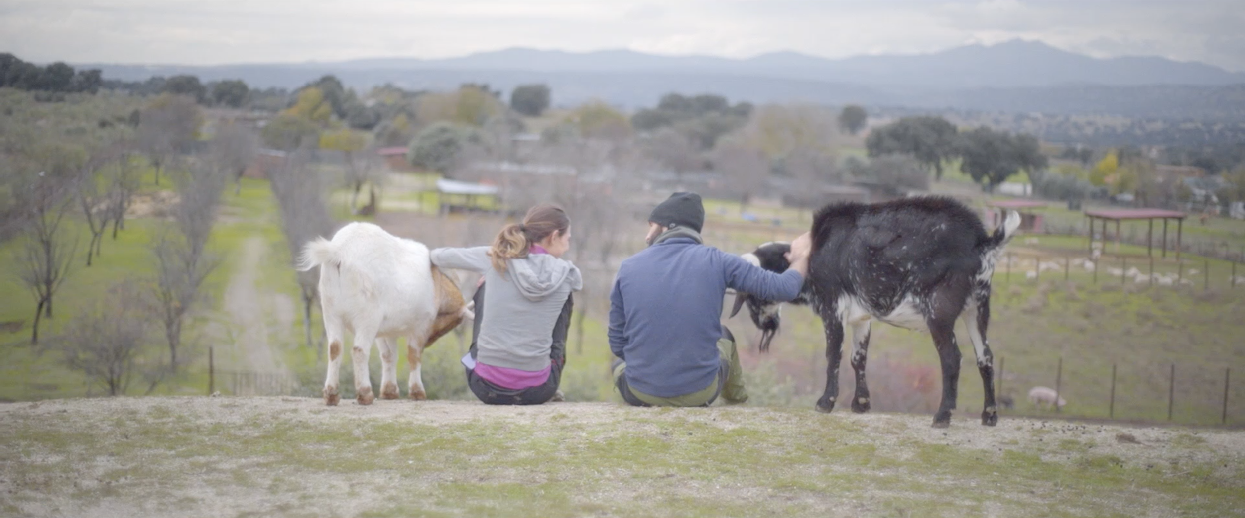 Captura de pantalla 2026-01-20 a las 11.46.21.png