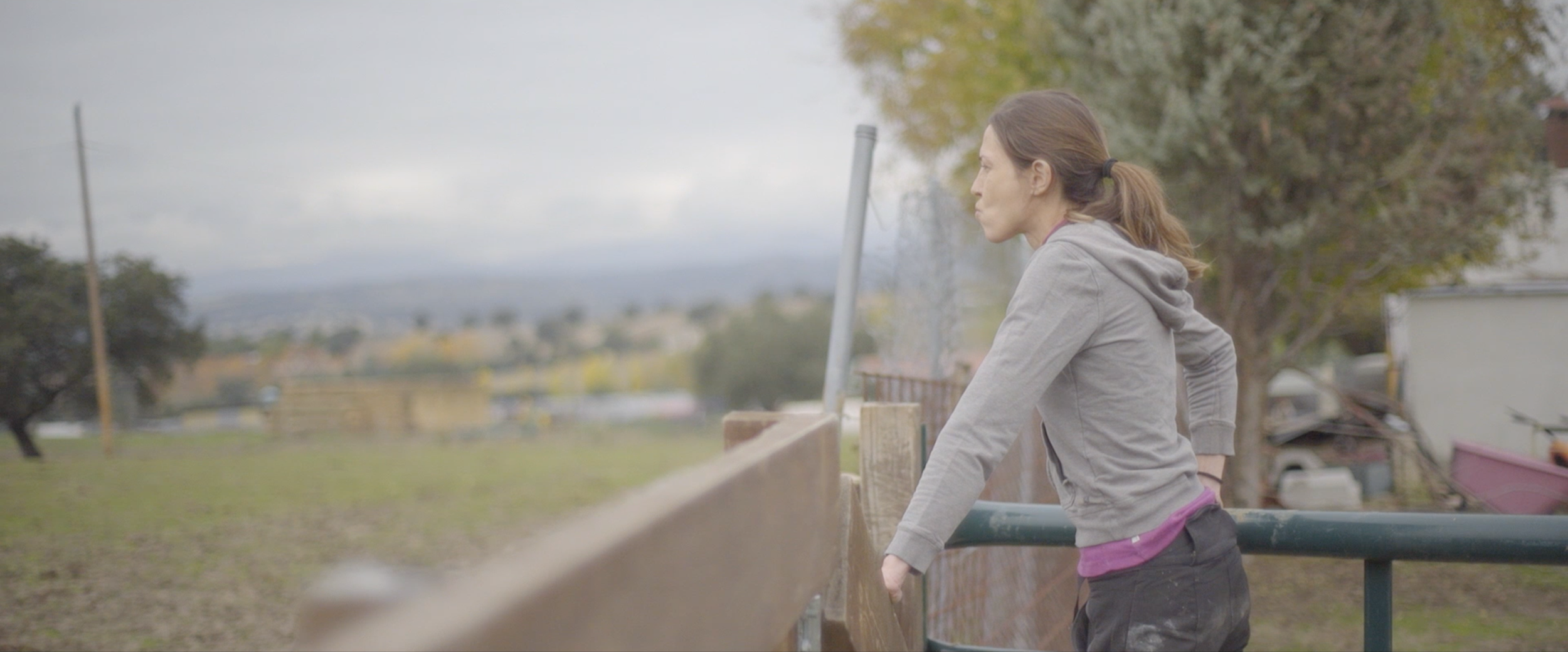 Captura de pantalla 2026-01-20 a las 11.45.28.png