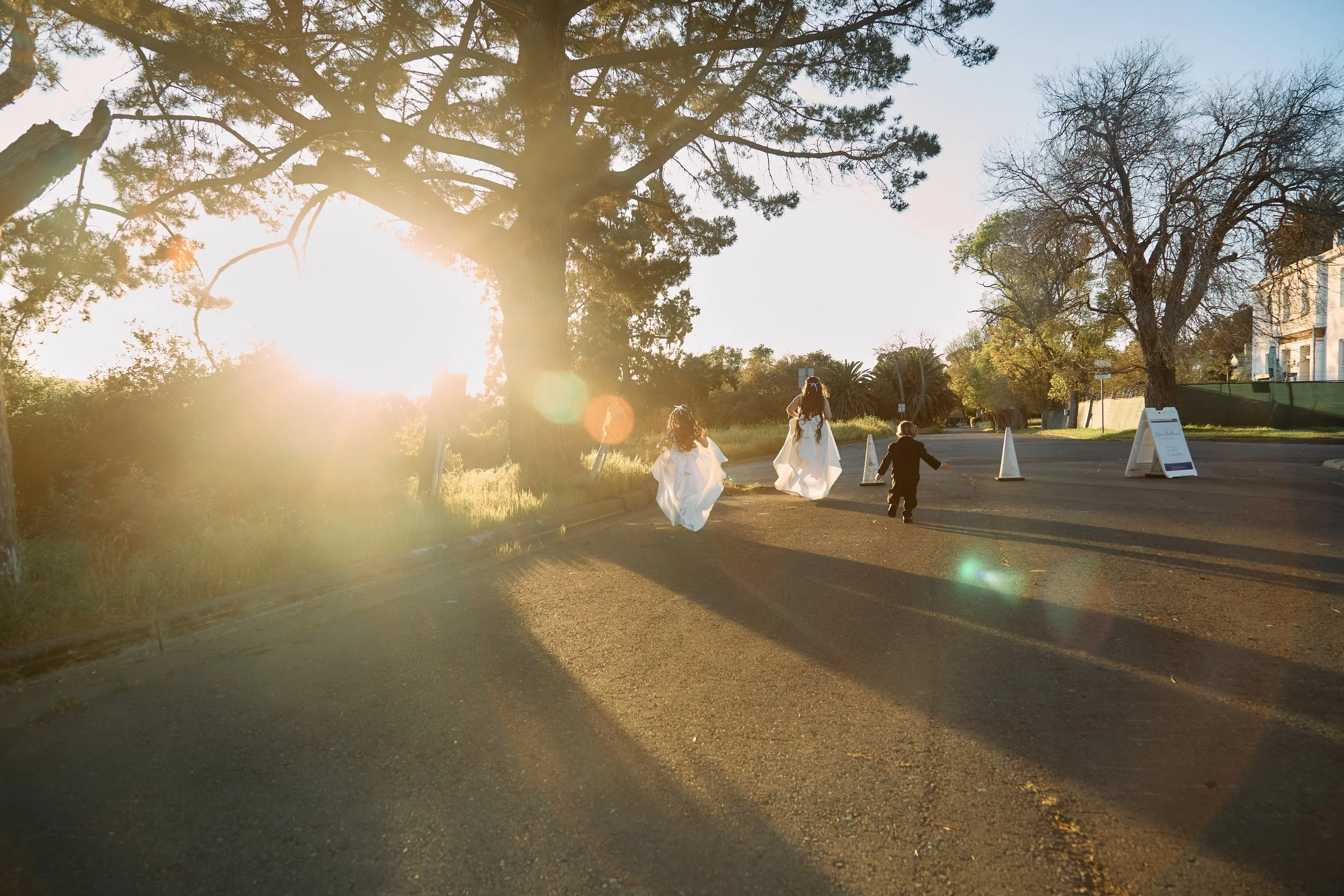 Children walking on a street at sunset, with two girls in white dresses and a boy in a black suit, under large trees with the sun shining through, casting long shadows.