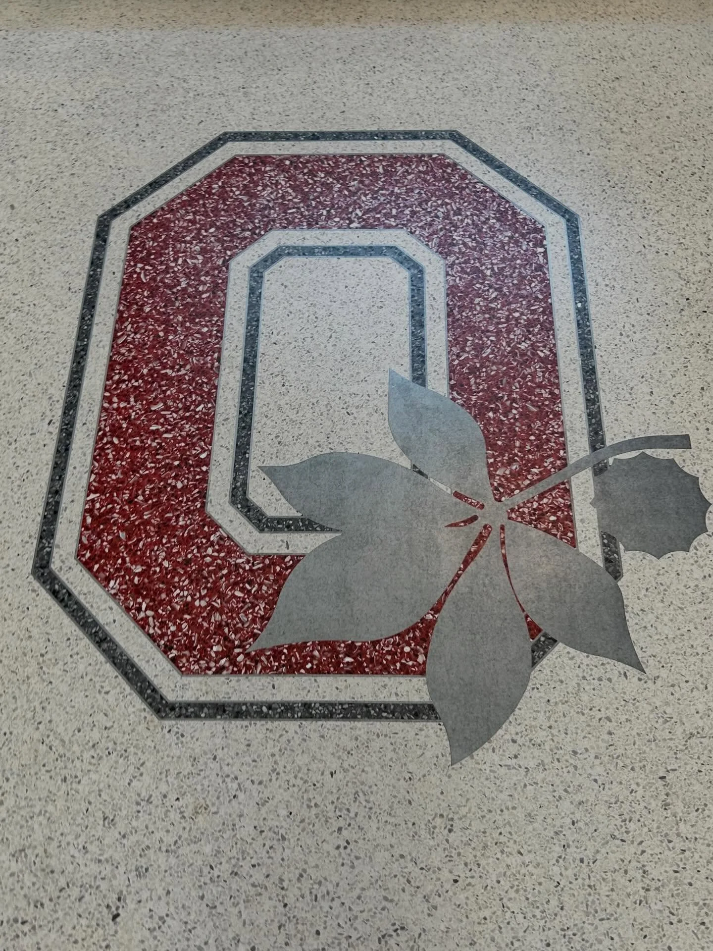 Next Step&rsquo;s visit to The Ohio State University! 

Here&rsquo;s the rundown (as of 4.16.26):
-Top 15 best public universities in nation (USNWR)
-46,000 undergrad students 
-125 research centers &amp; institutes 
-20% of students start without de