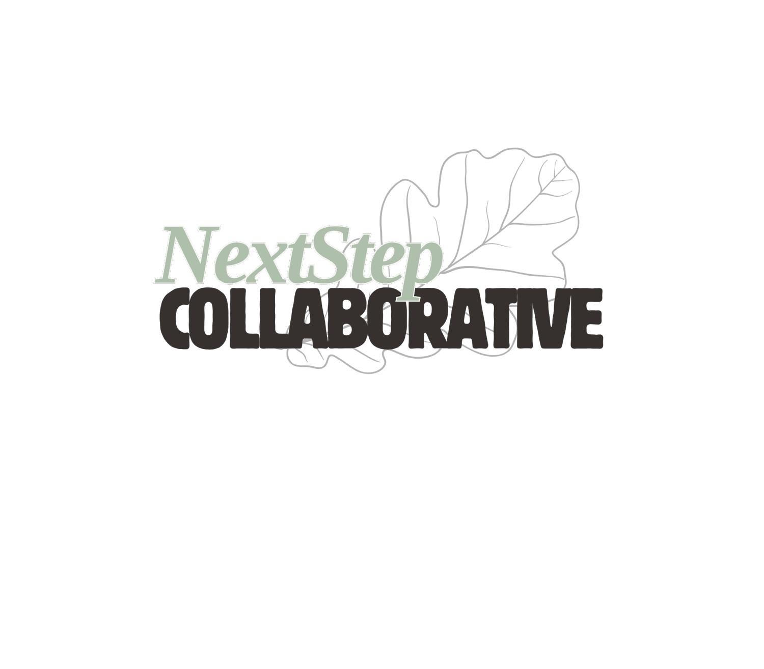 Next Step Collaborative, LLC