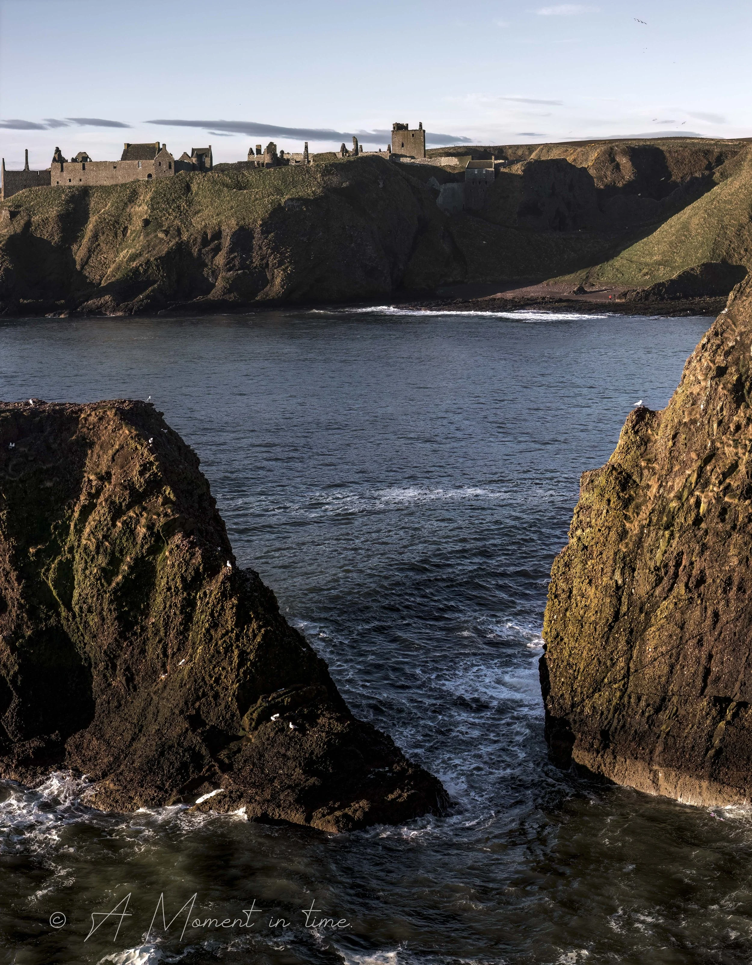 King of the Castle AMIT.jpg