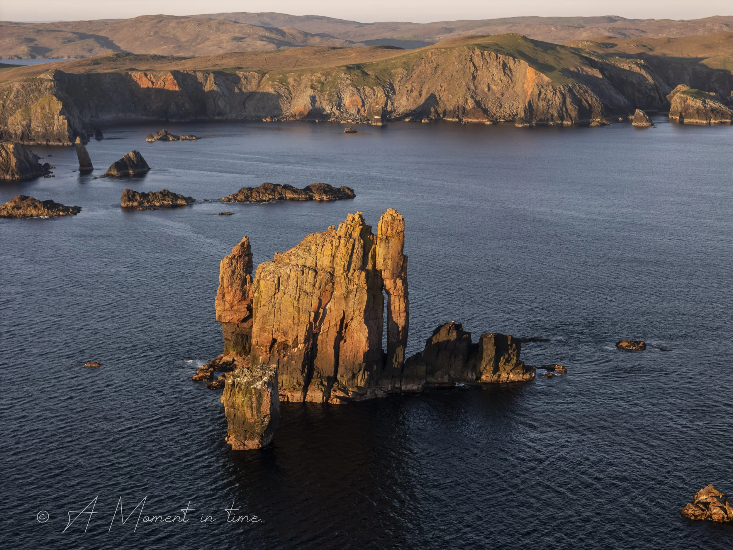 The drongs from sea.