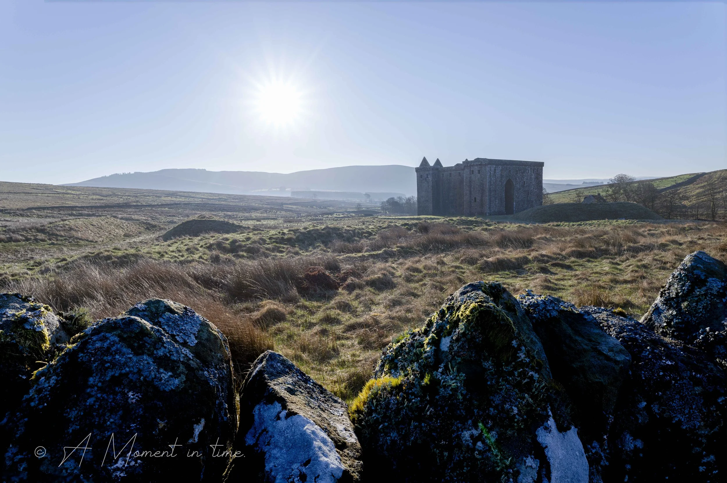 HemitageAMIT wall.jpg